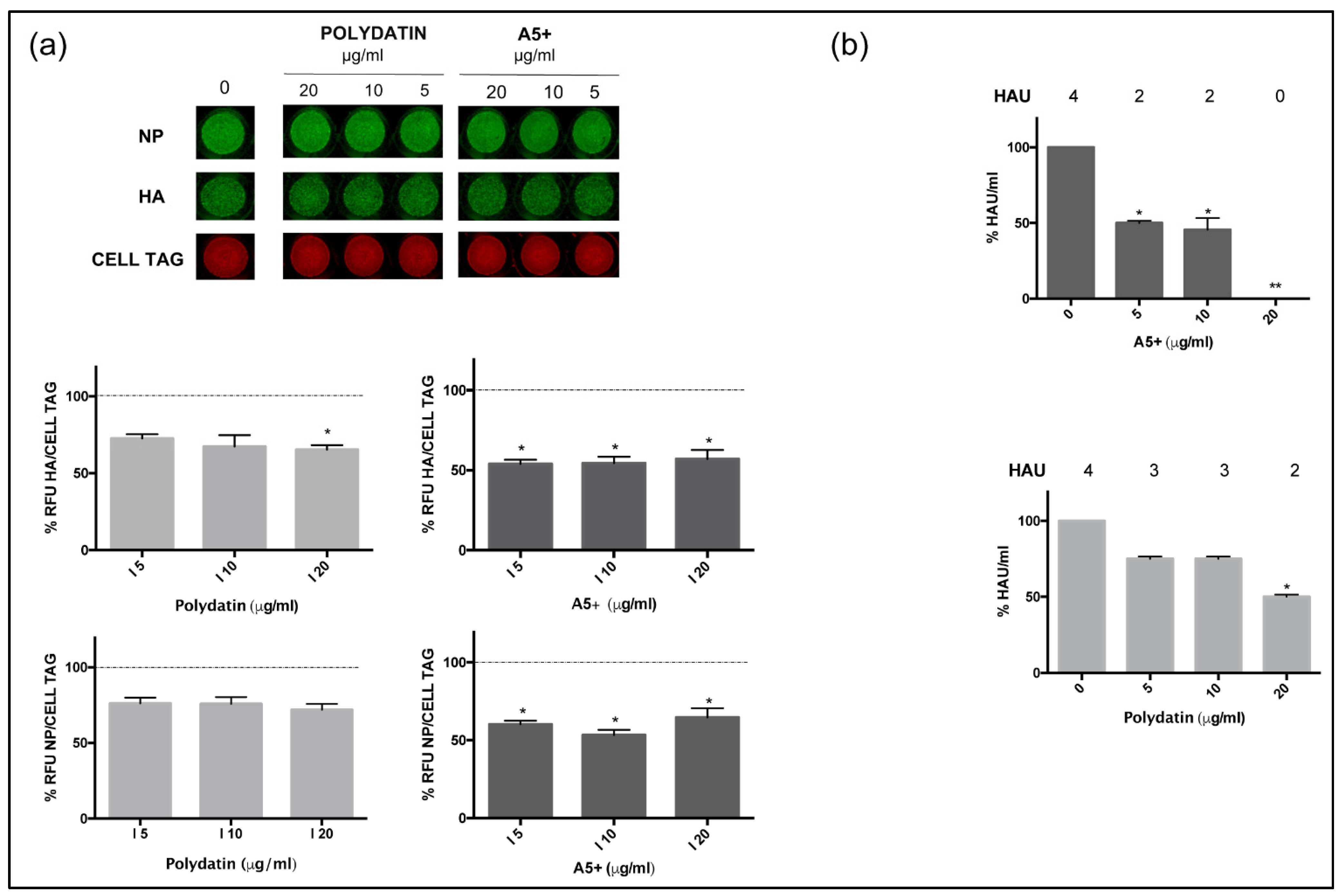 Biomedicines 09 01721 g002
