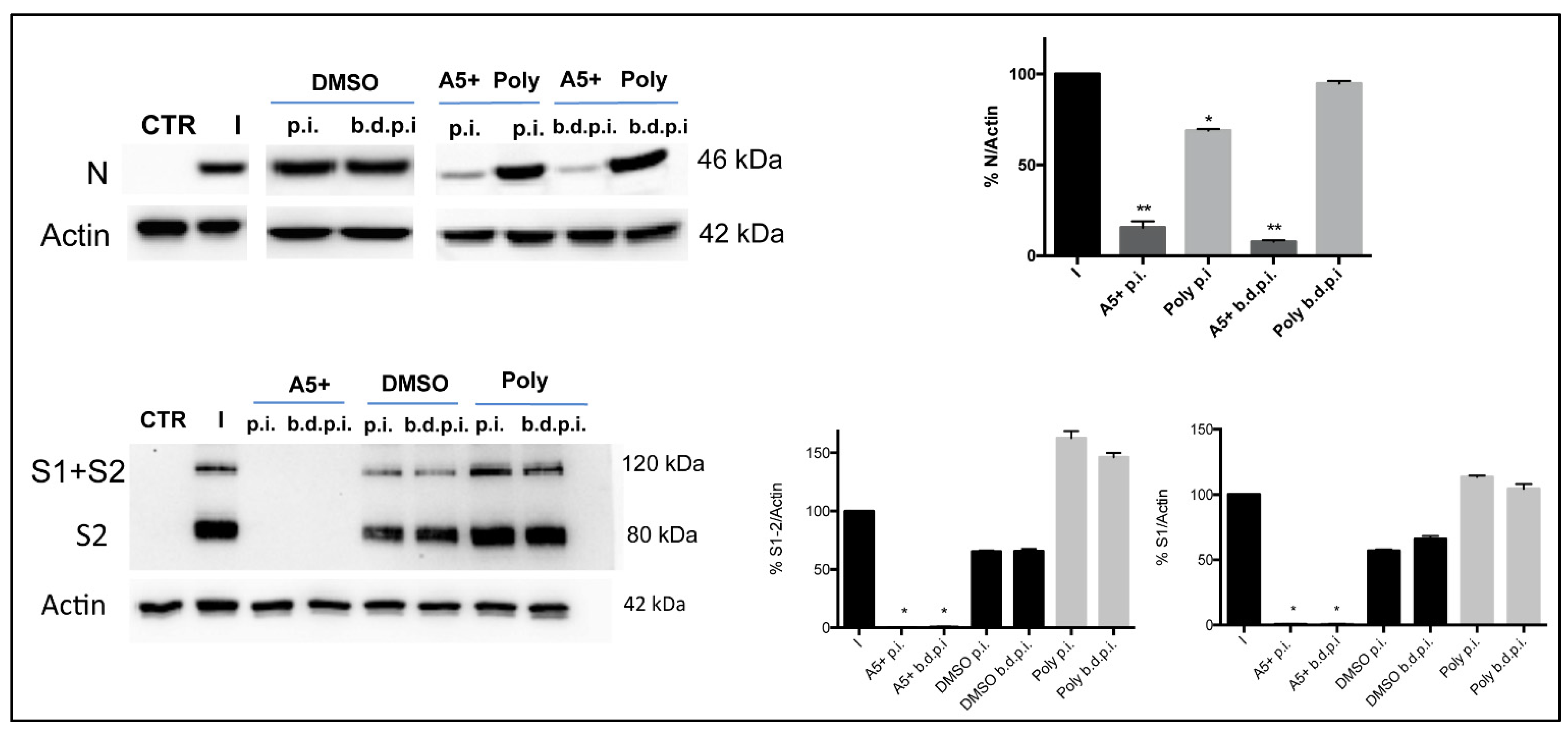 Biomedicines 09 01721 g005