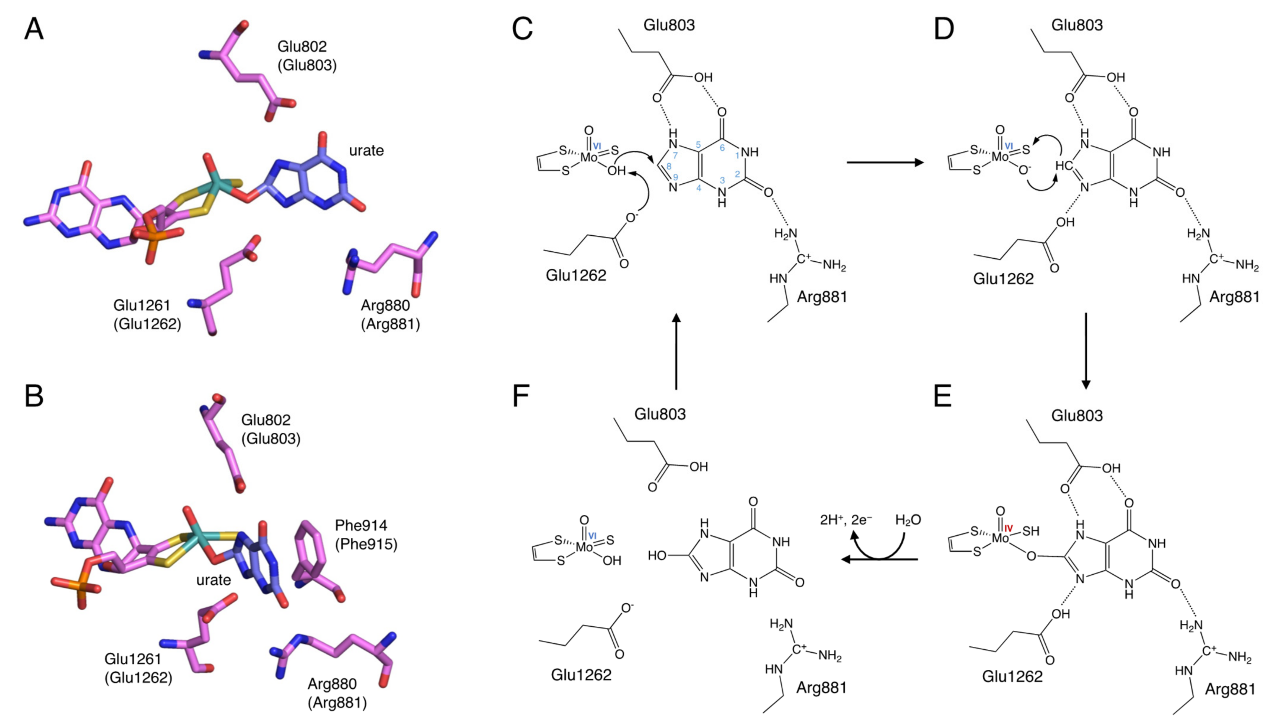 Biomedicines 09 01723 g003