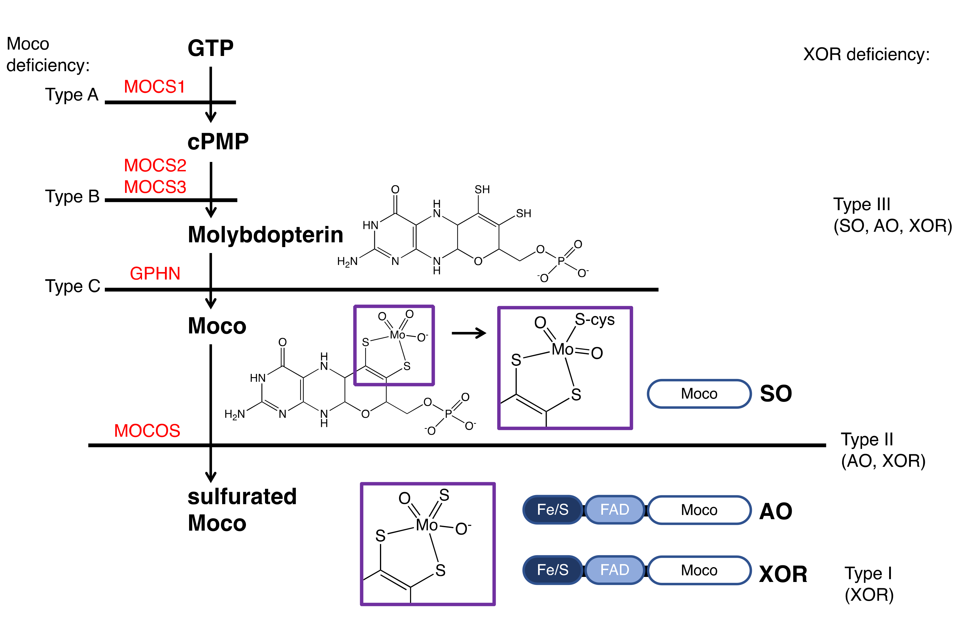 Biomedicines 09 01723 g006