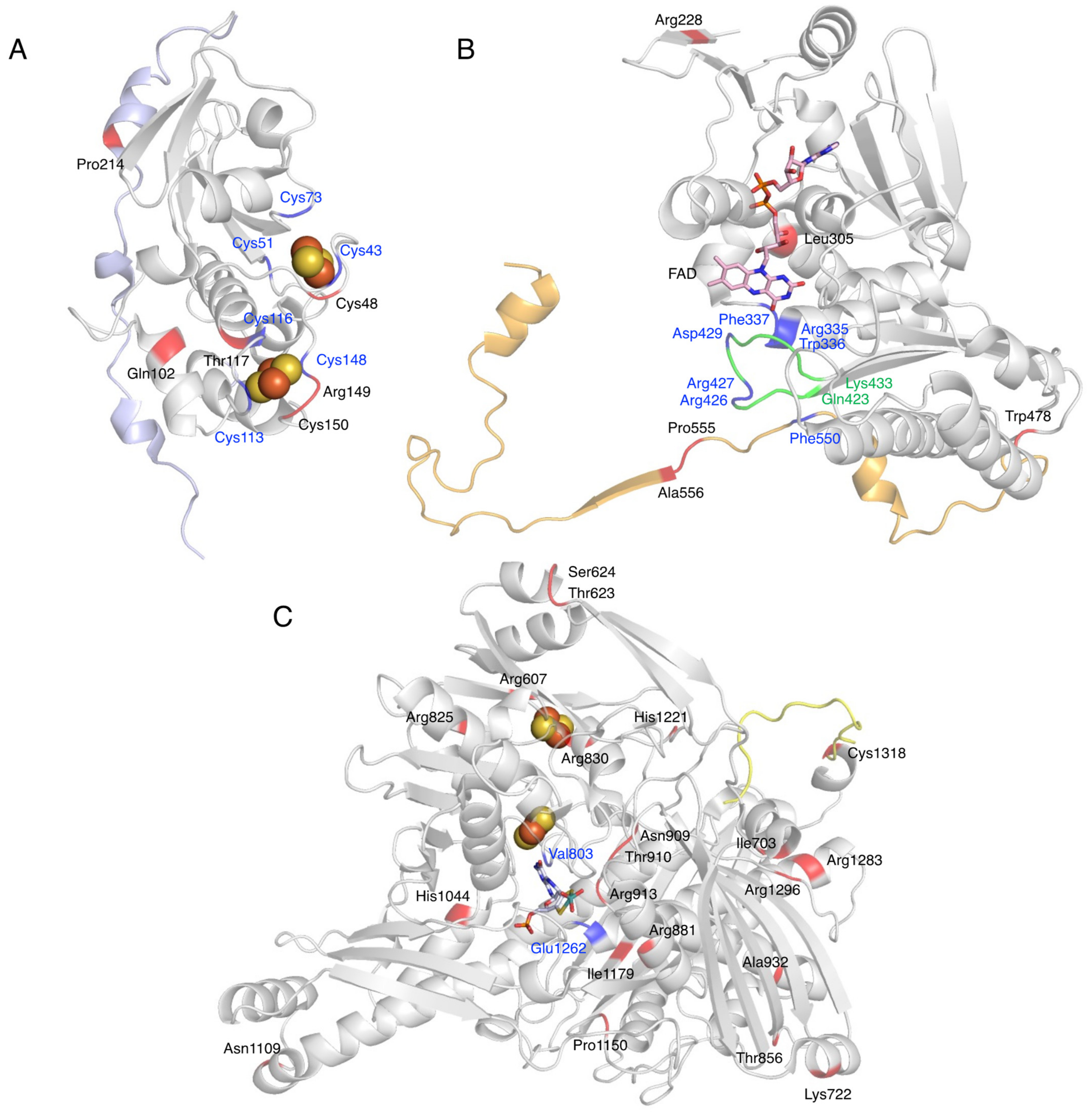 Biomedicines 09 01723 g007