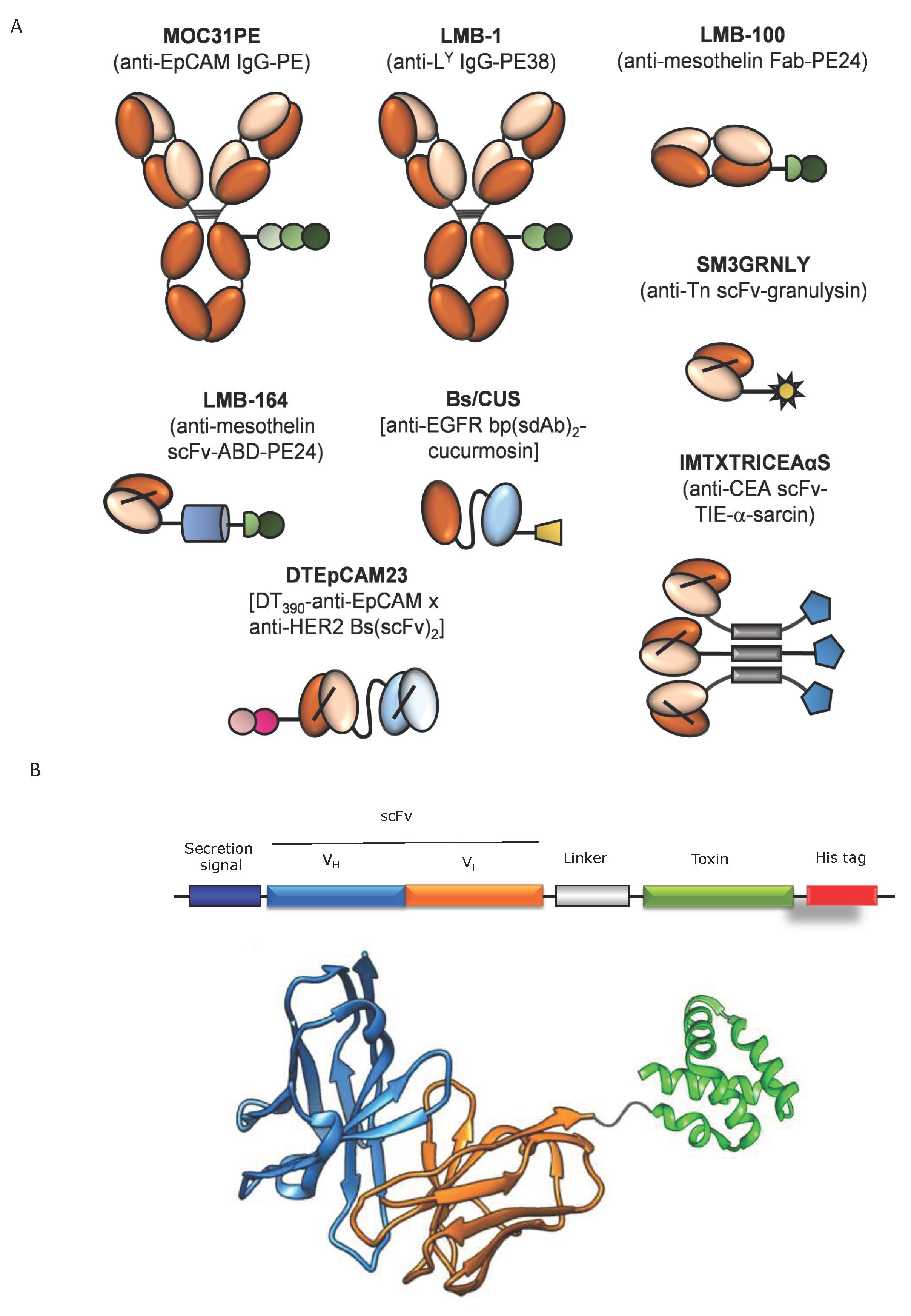 Biomedicines 09 01729 g001