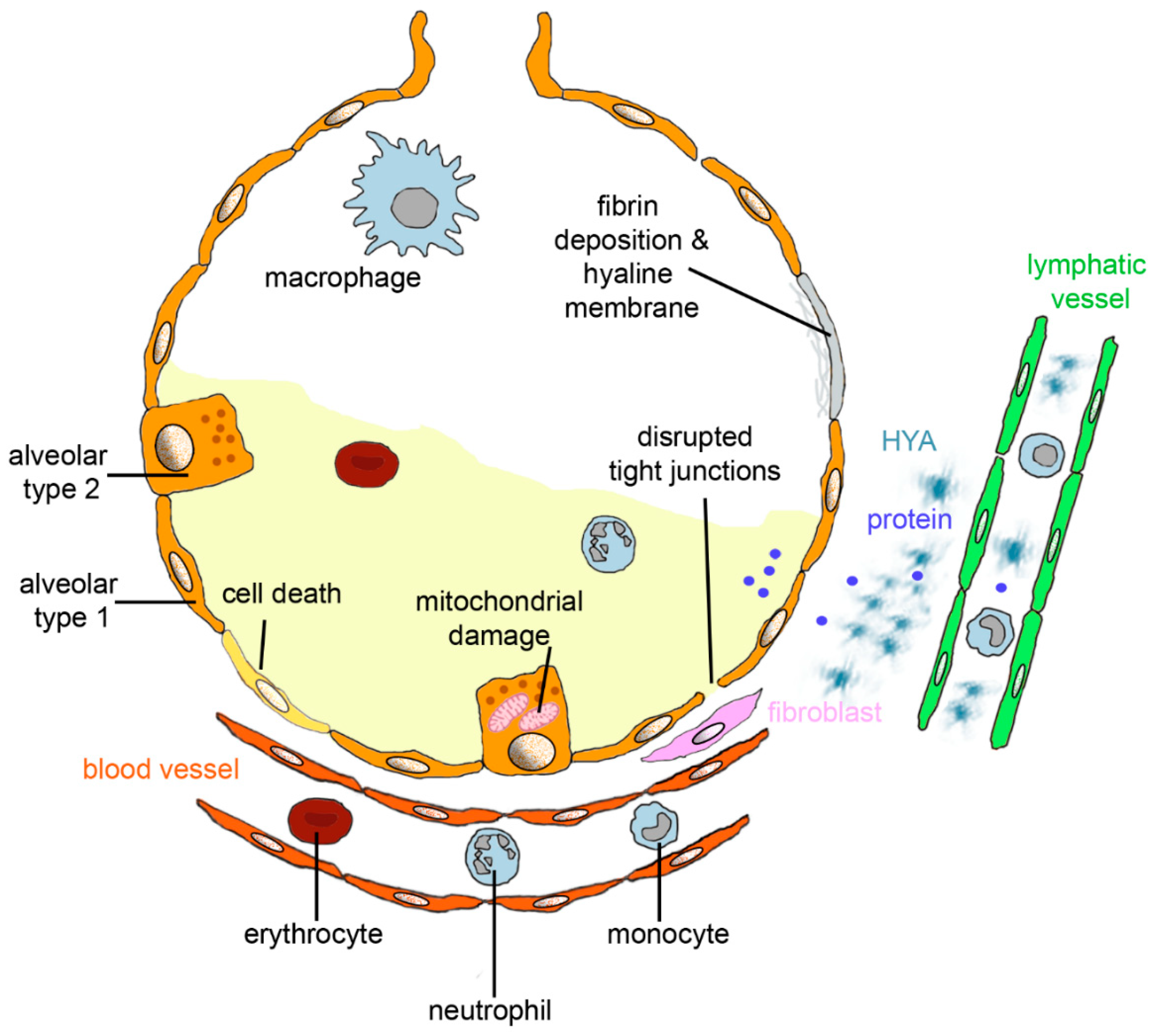 Biomedicines 09 01732 g001
