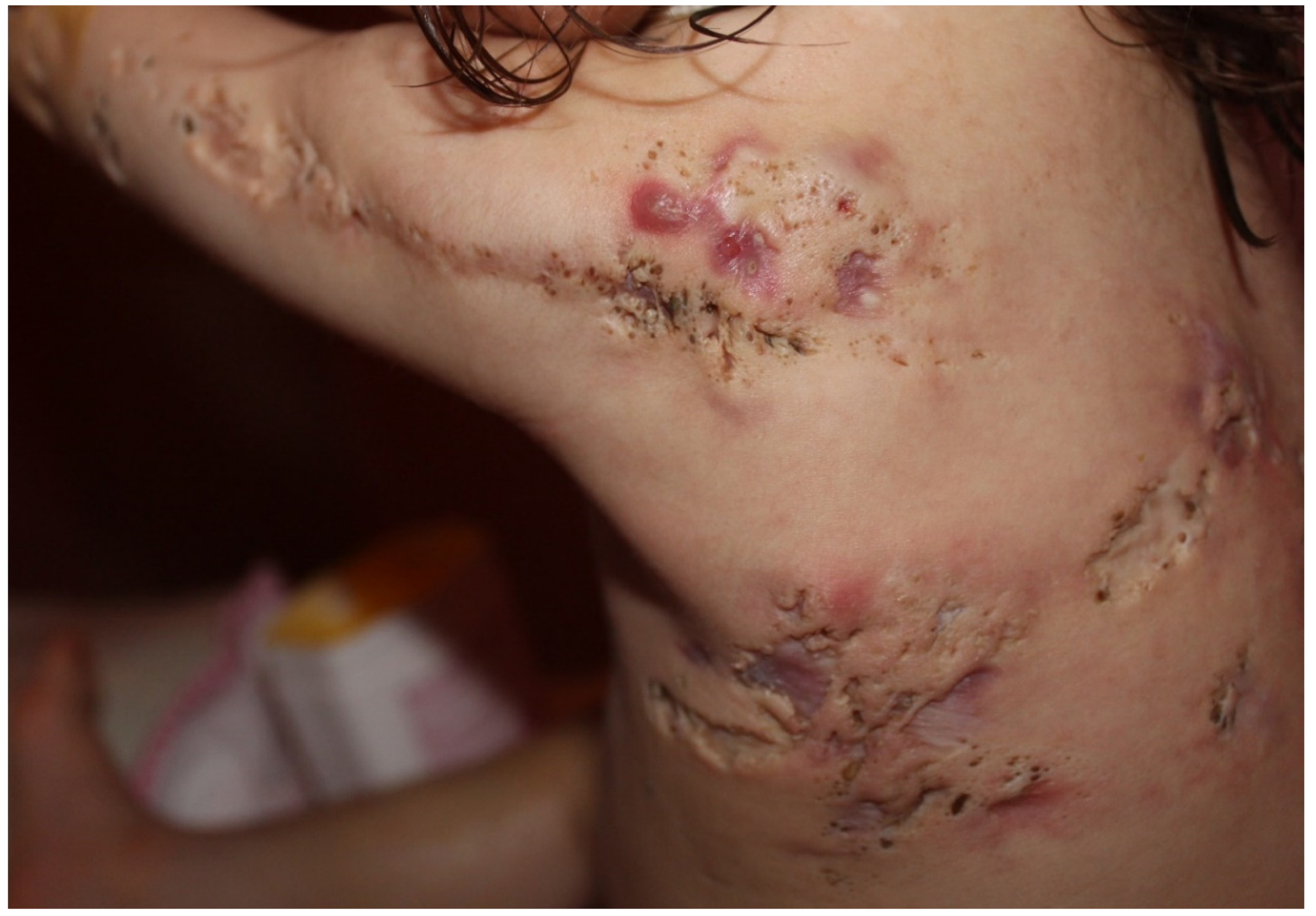 Biomedicines 09 01735 g007 Biomedicines 09 01735 g007