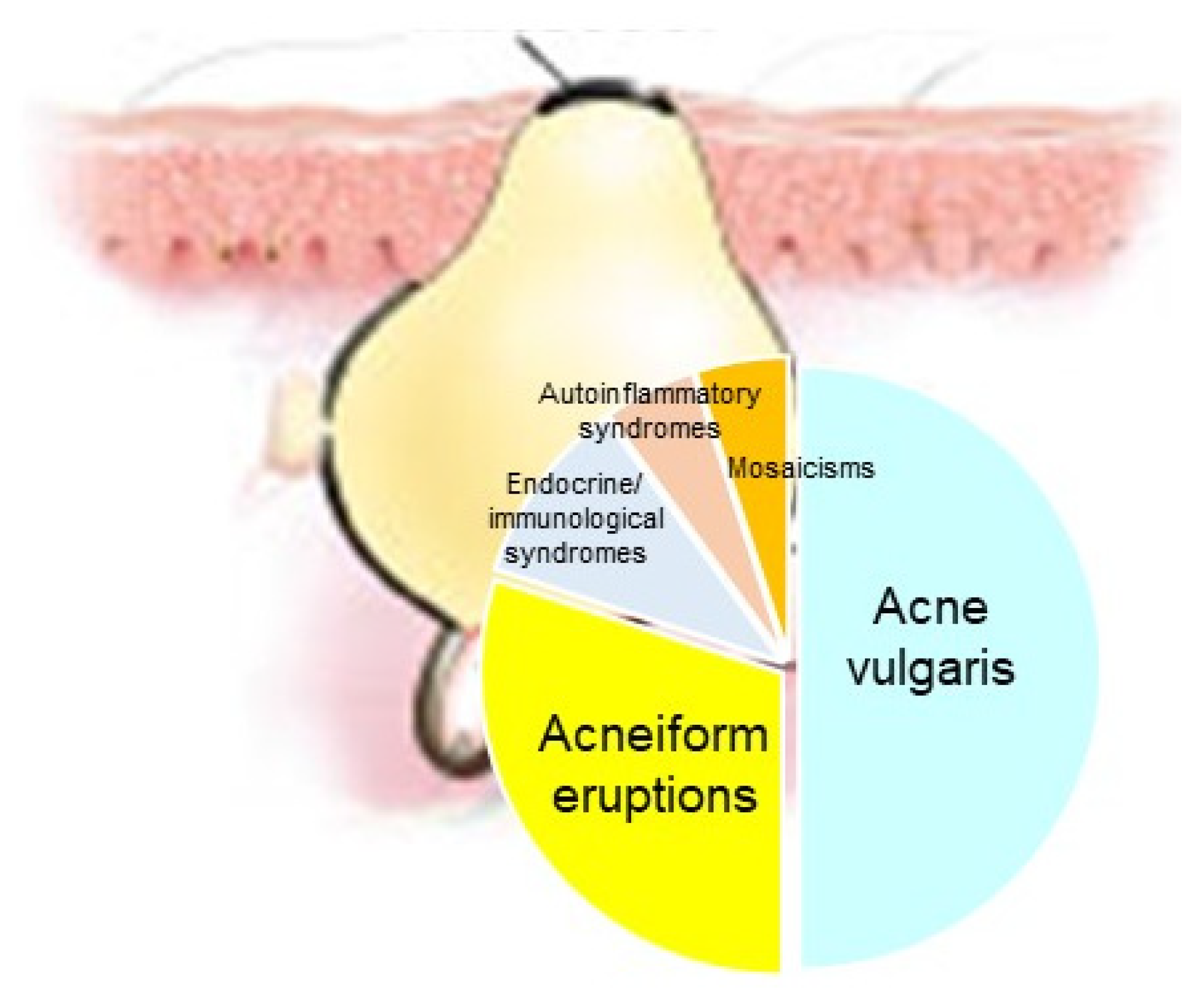 Biomedicines 09 01735 g008 Biomedicines 09 01735 g008