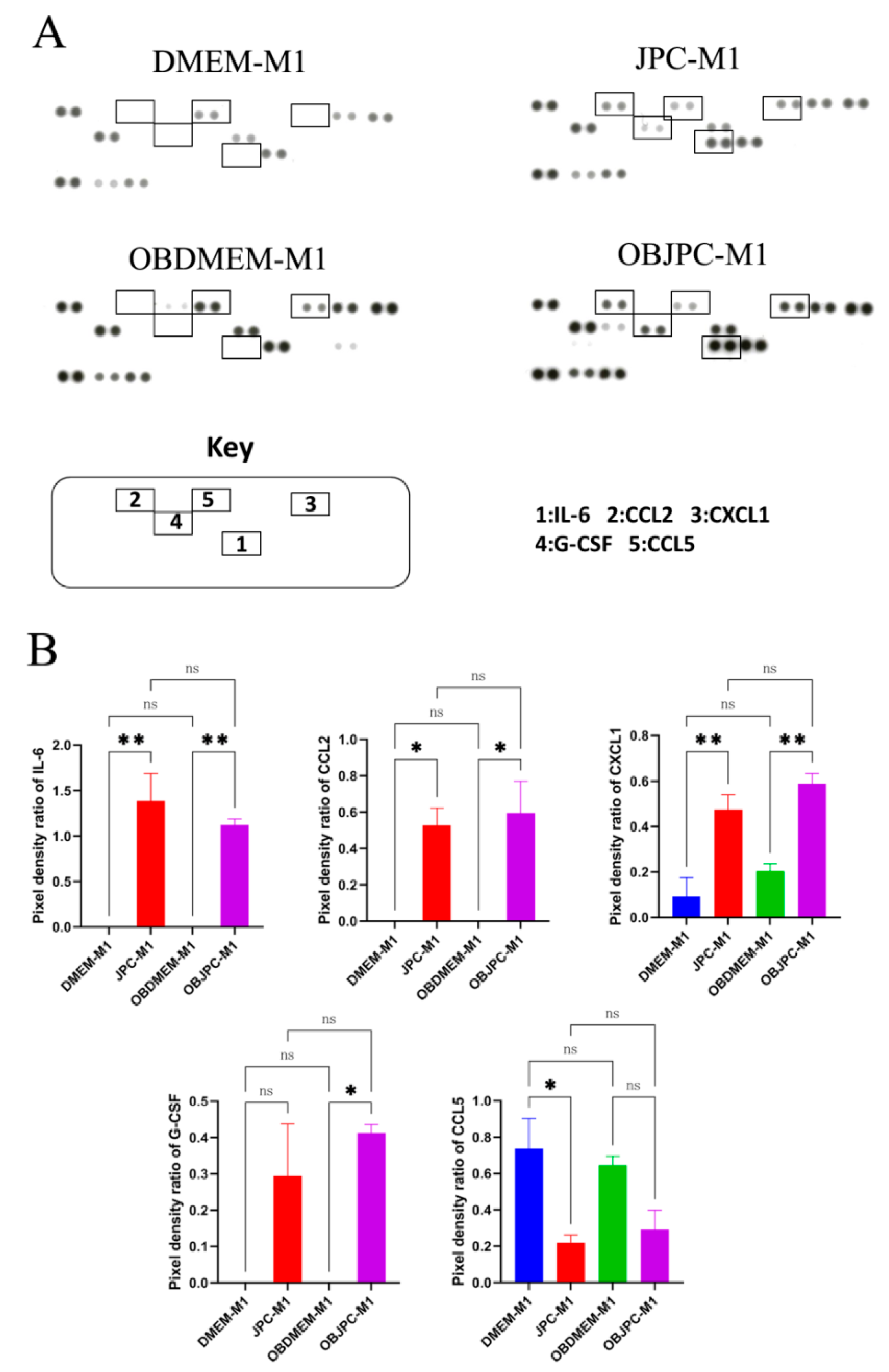 Biomedicines 09 01753 g005