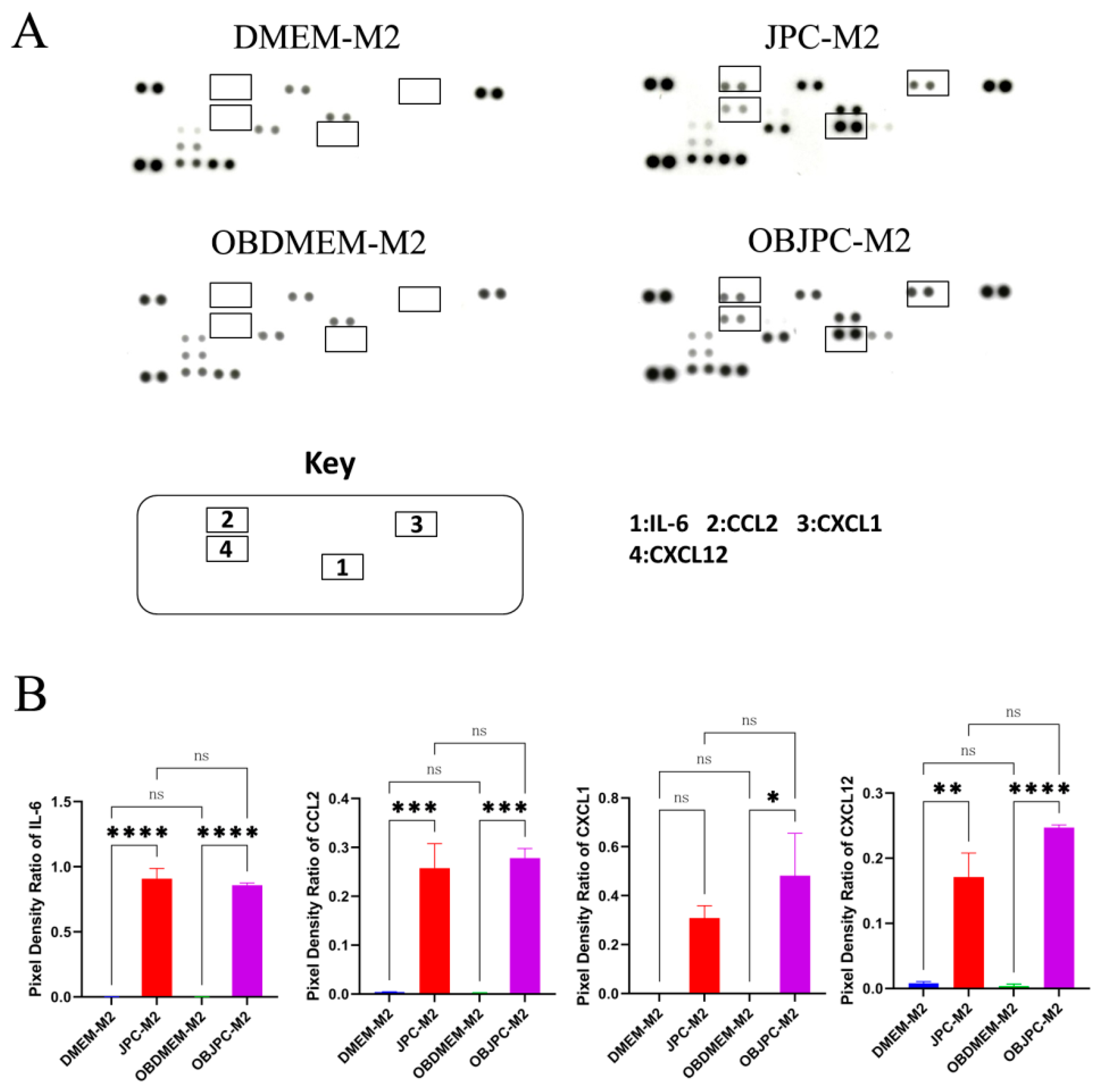 Biomedicines 09 01753 g006