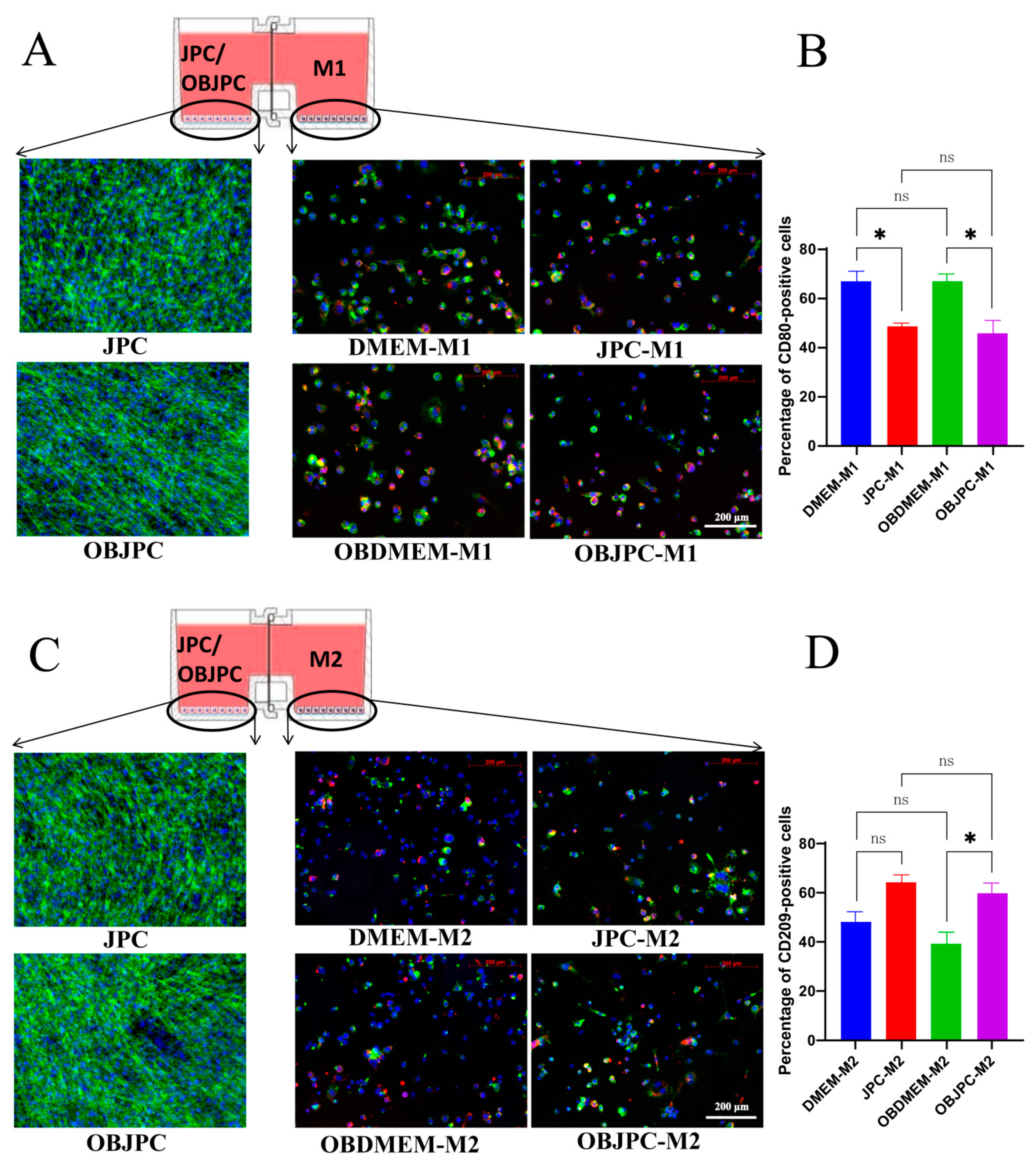 Biomedicines 09 01753 g007