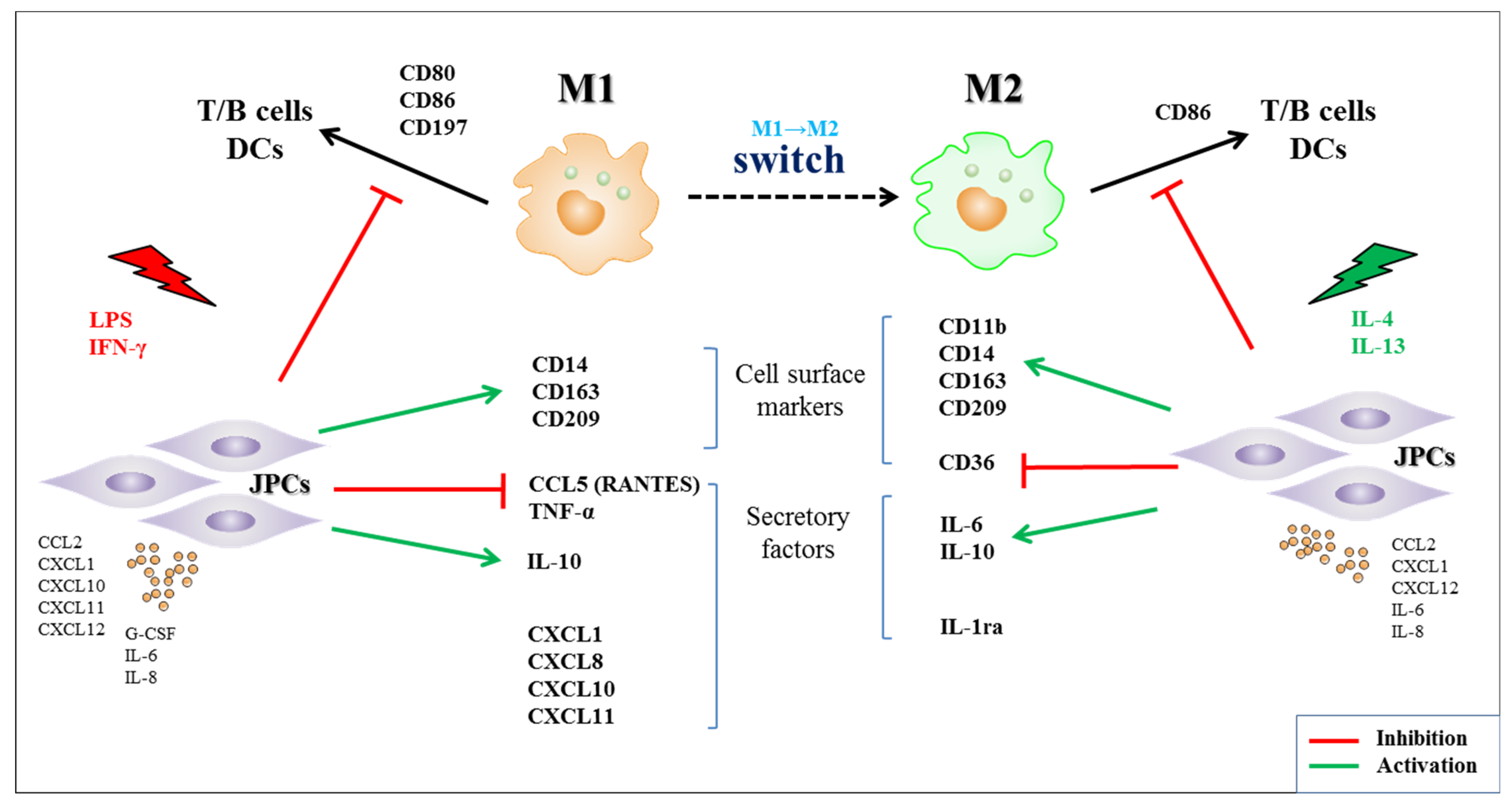Biomedicines 09 01753 g010