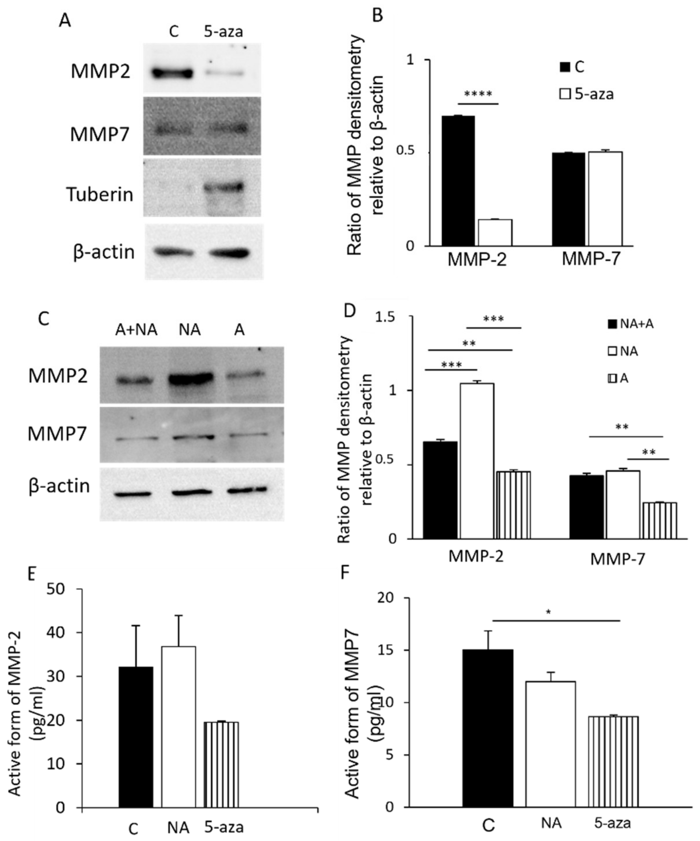 Biomedicines 09 01760 g001 Biomedicines 09 01760 g001
