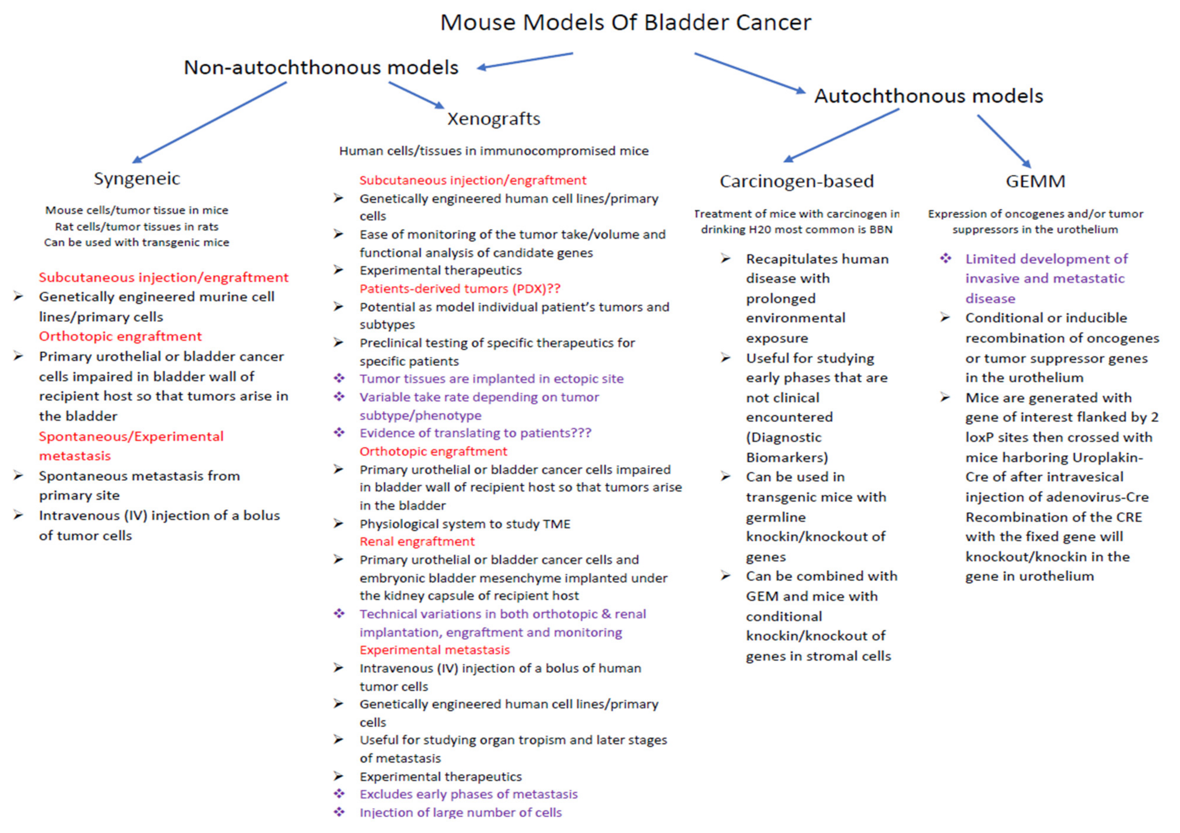 Biomedicines 09 01762 g002