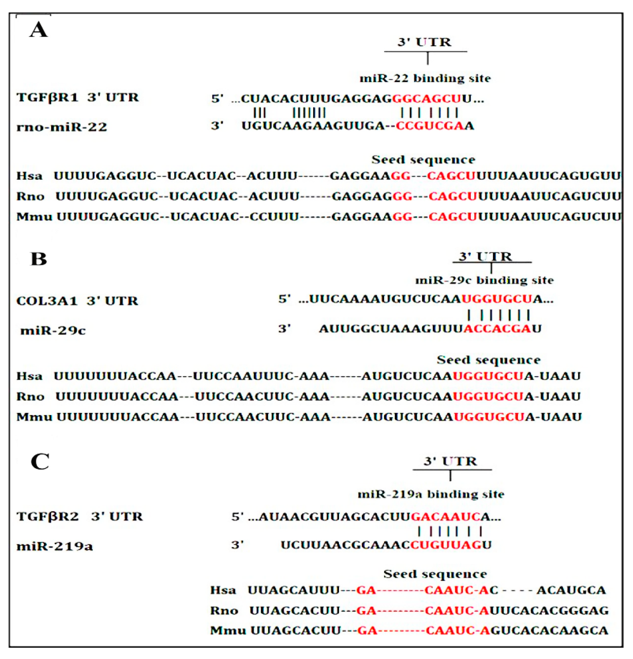 Biomedicines 09 01767 g008