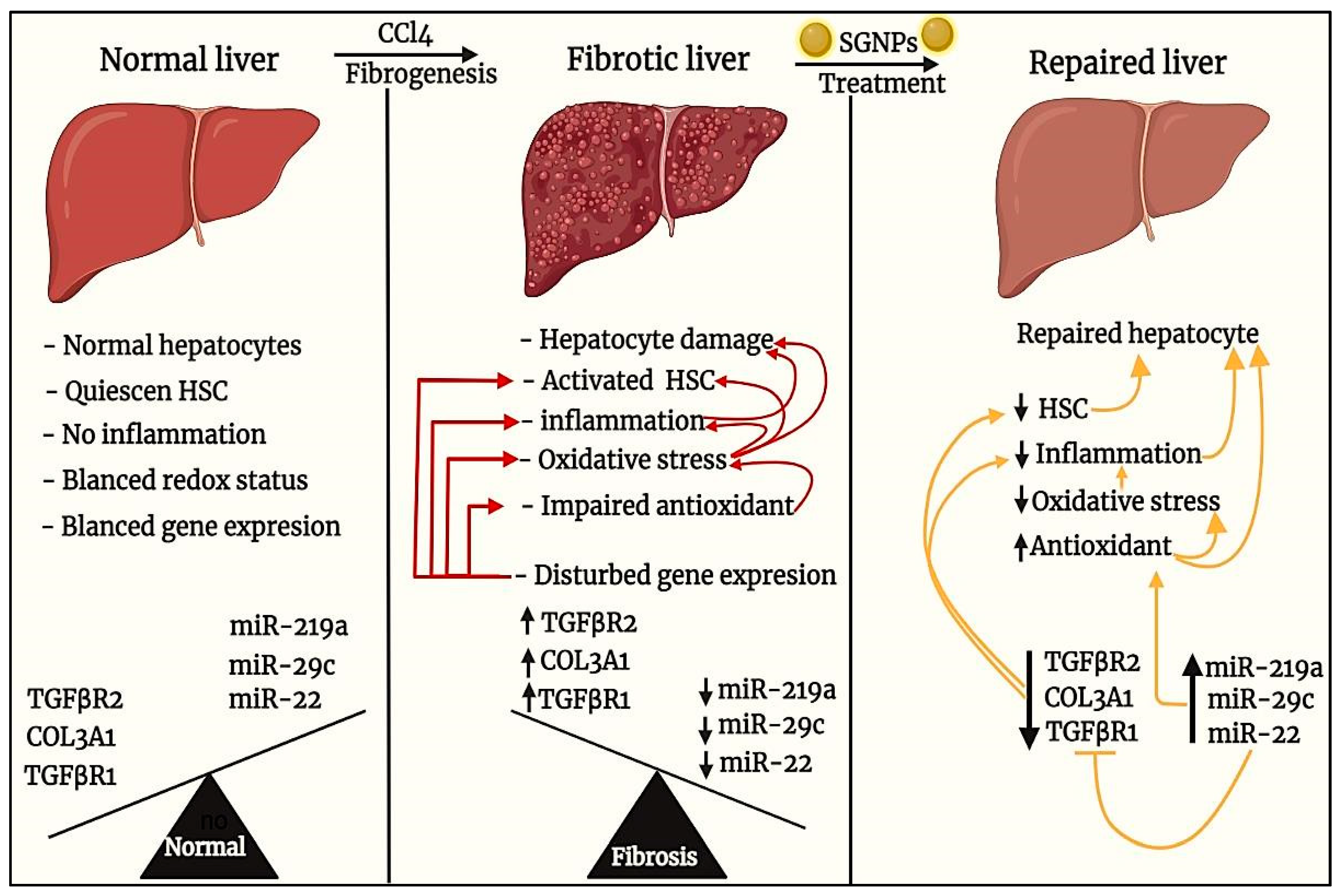 Biomedicines 09 01767 g014