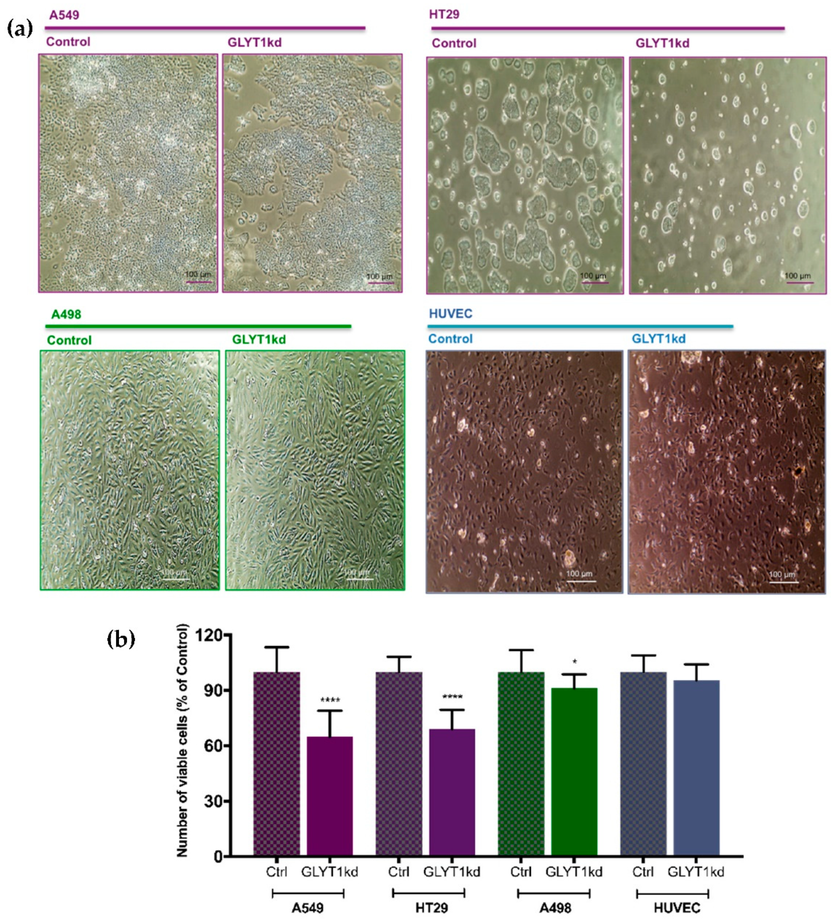 Biomedicines 09 01770 g002 Biomedicines 09 01770 g002