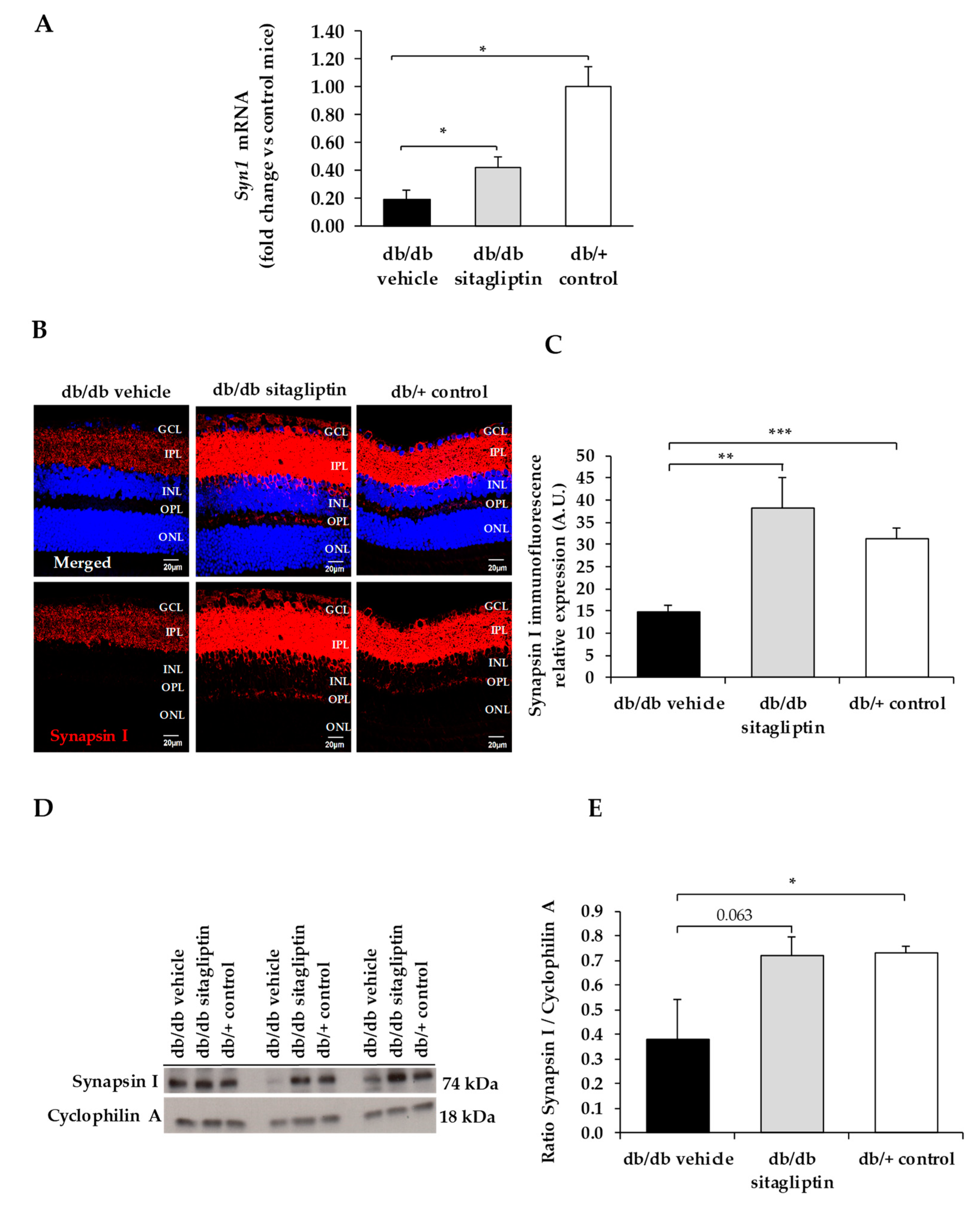 Biomedicines 09 01772 g001