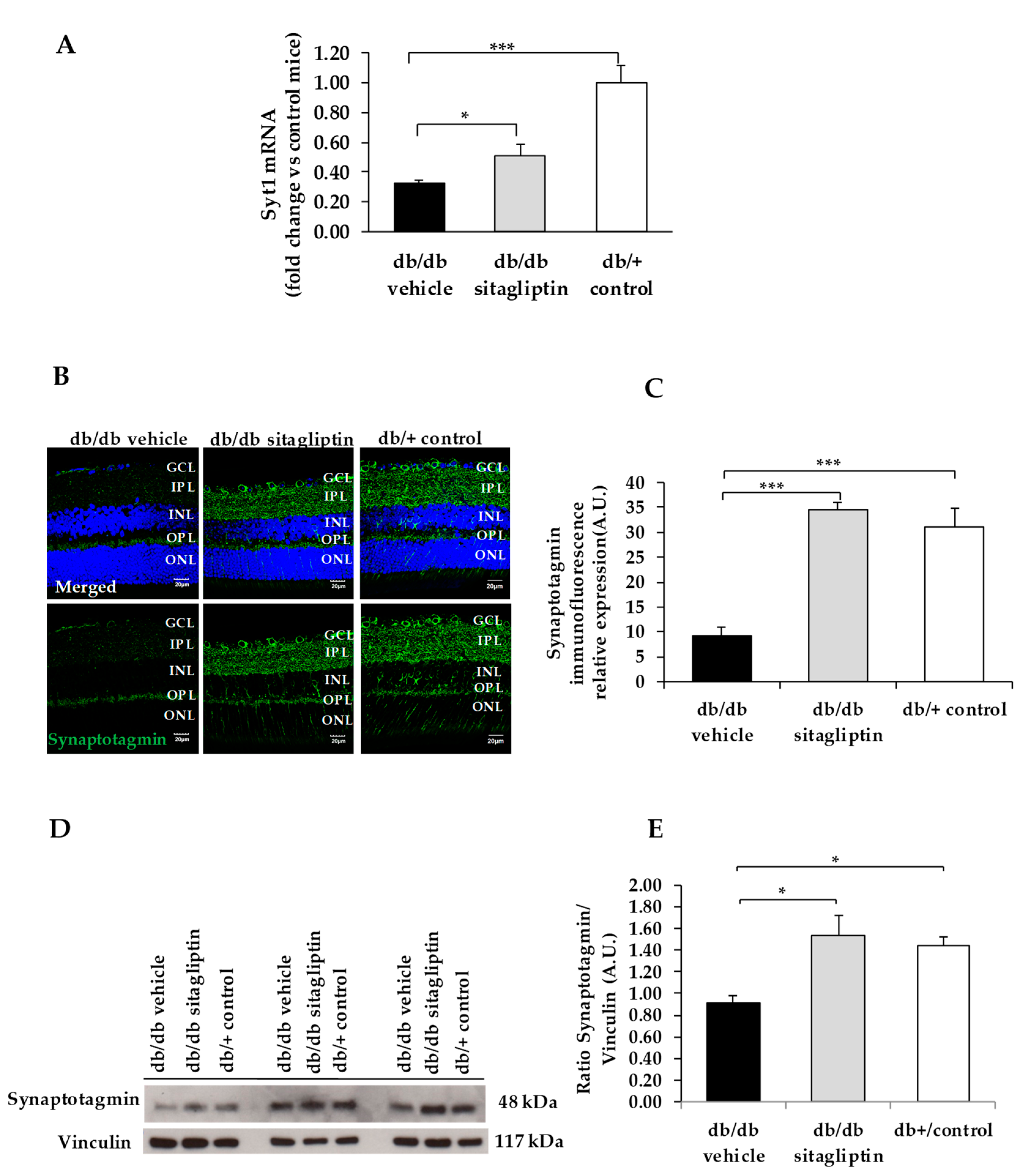 Biomedicines 09 01772 g003