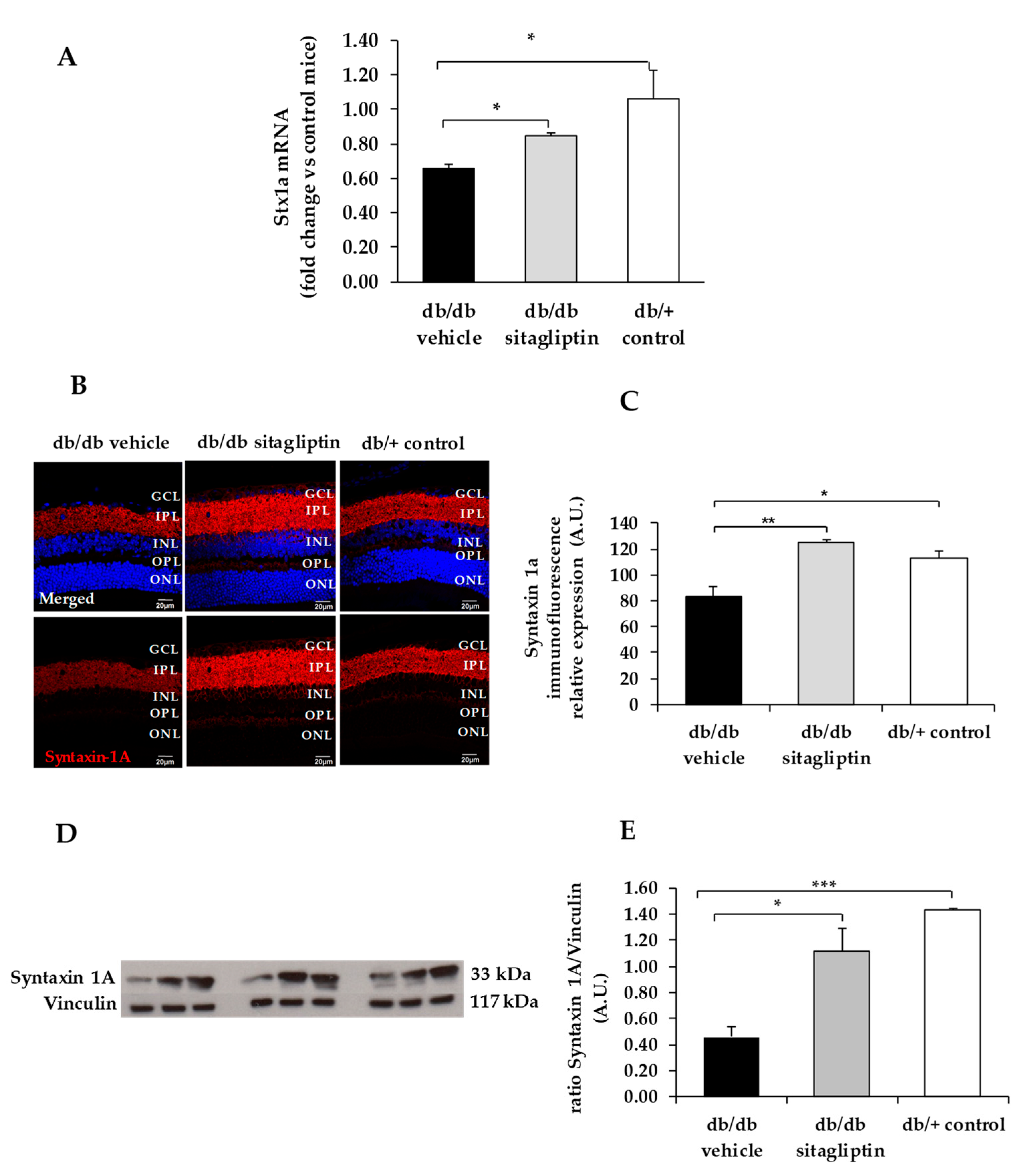 Biomedicines 09 01772 g004
