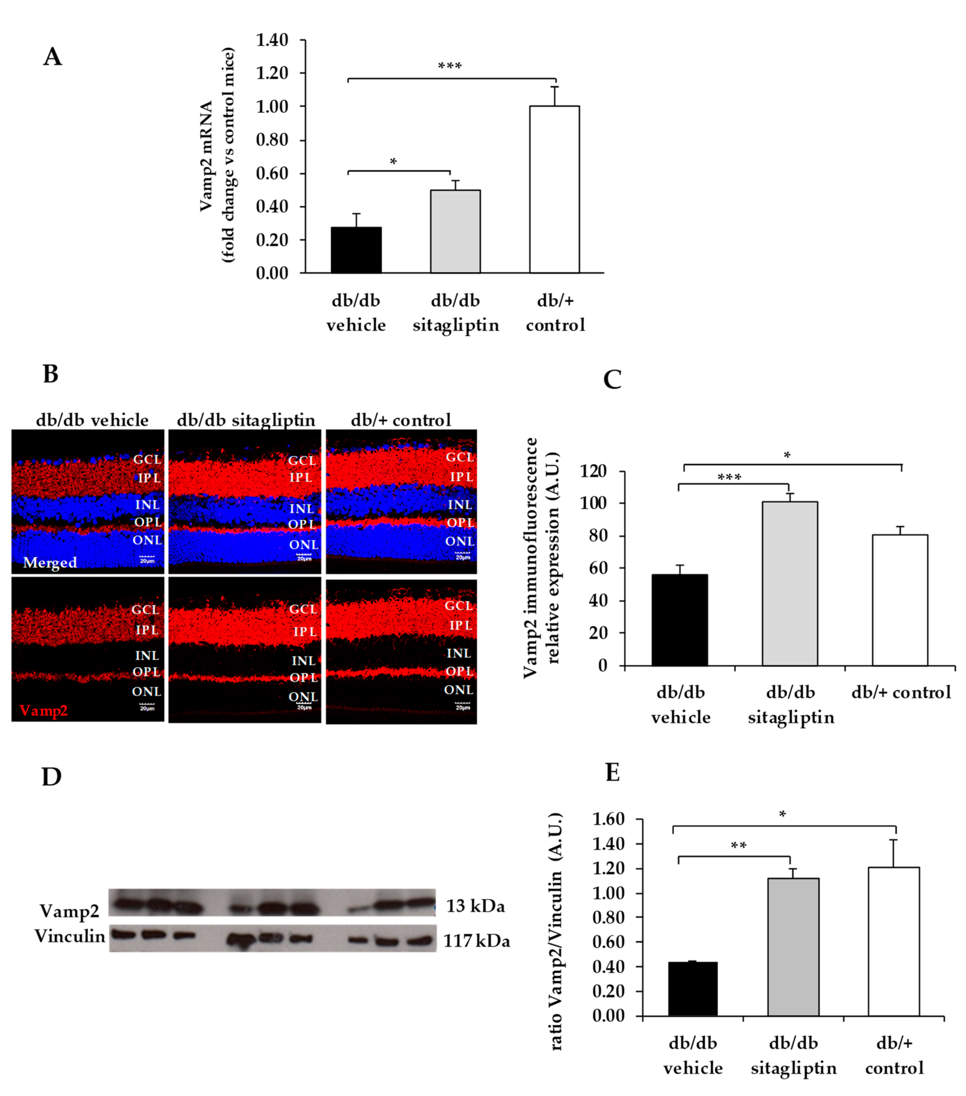Biomedicines 09 01772 g005