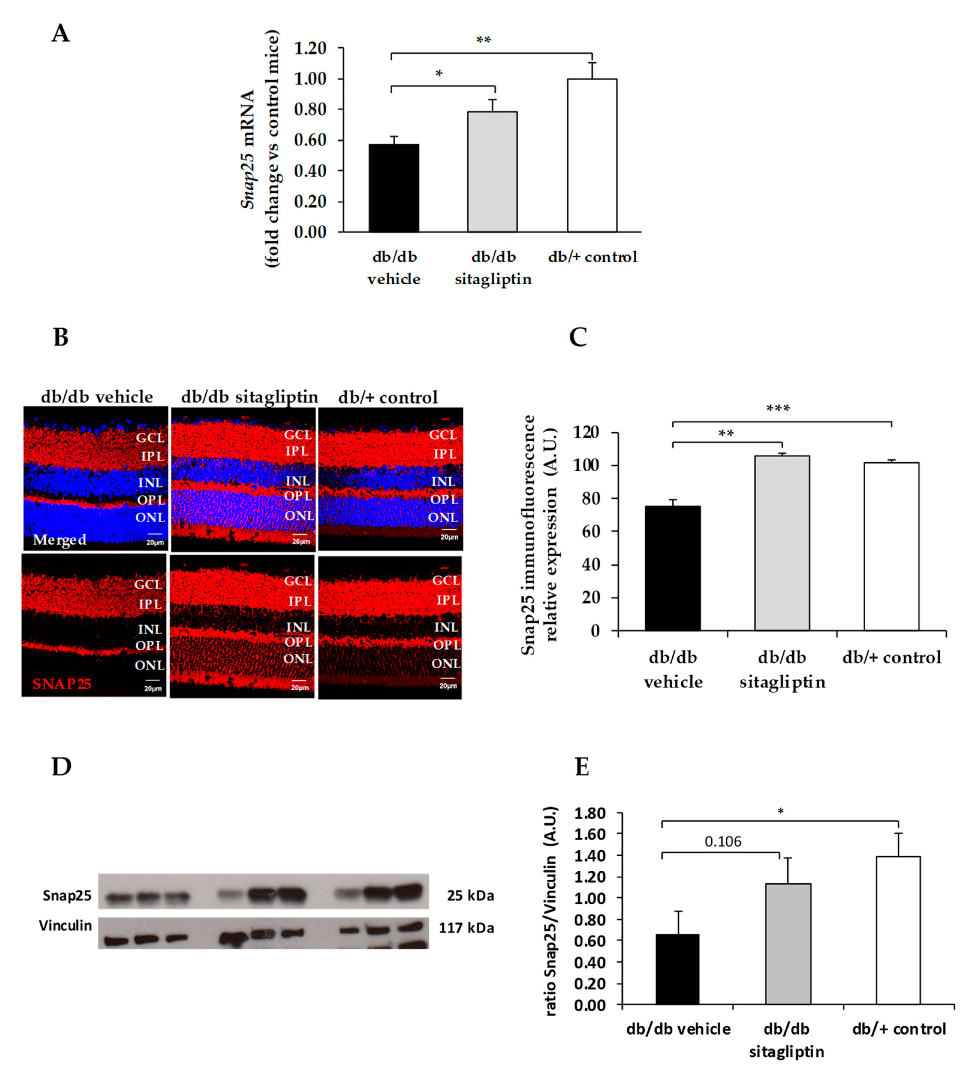 Biomedicines 09 01772 g006