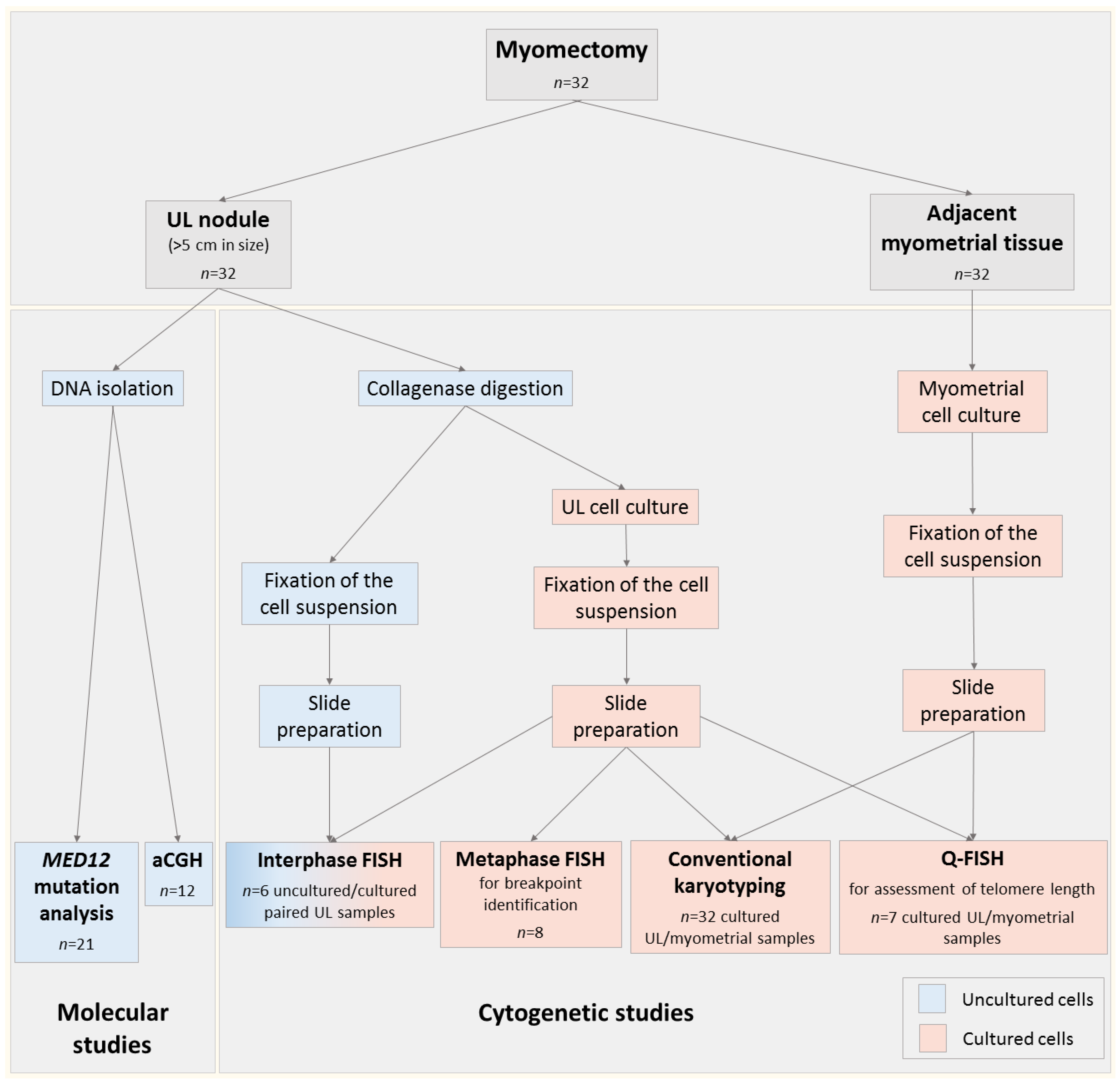 Biomedicines 09 01777 g001