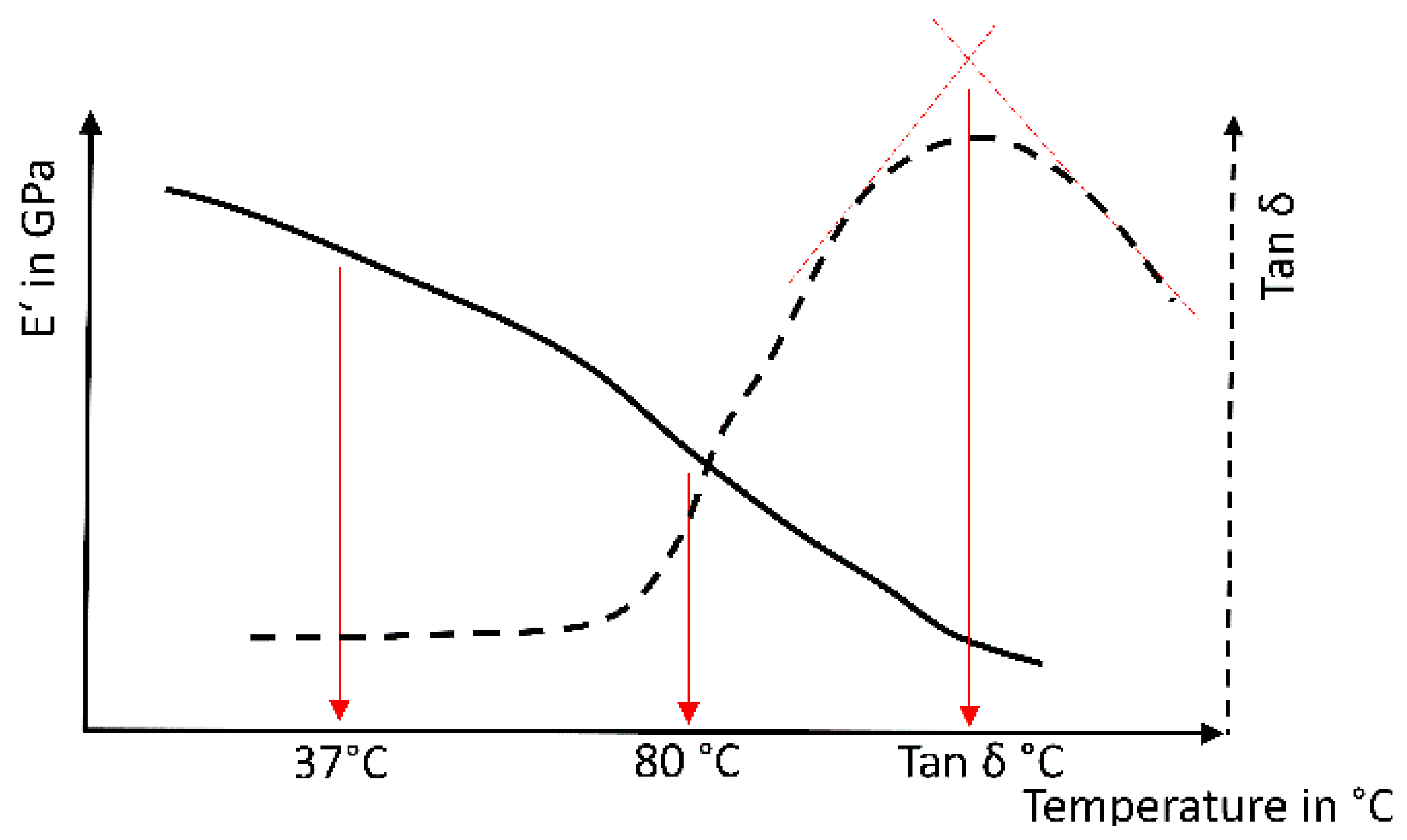 Biomedicines 09 01779 g002