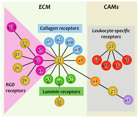 Biomedicines 09 01781 g001