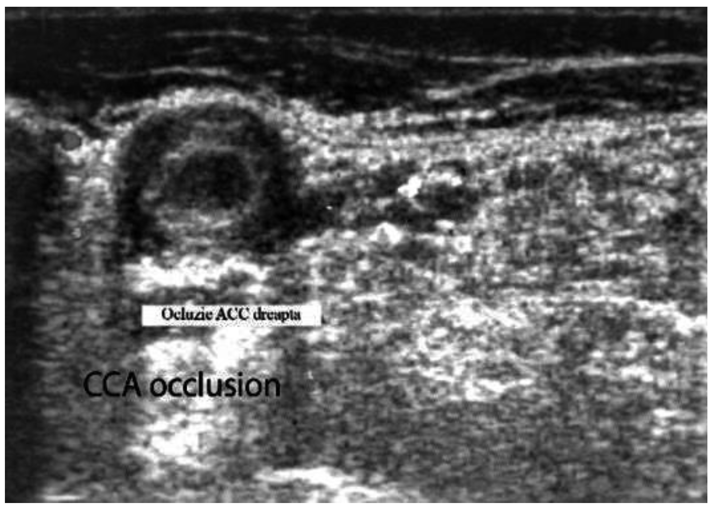 Biomedicines 09 01801 g004