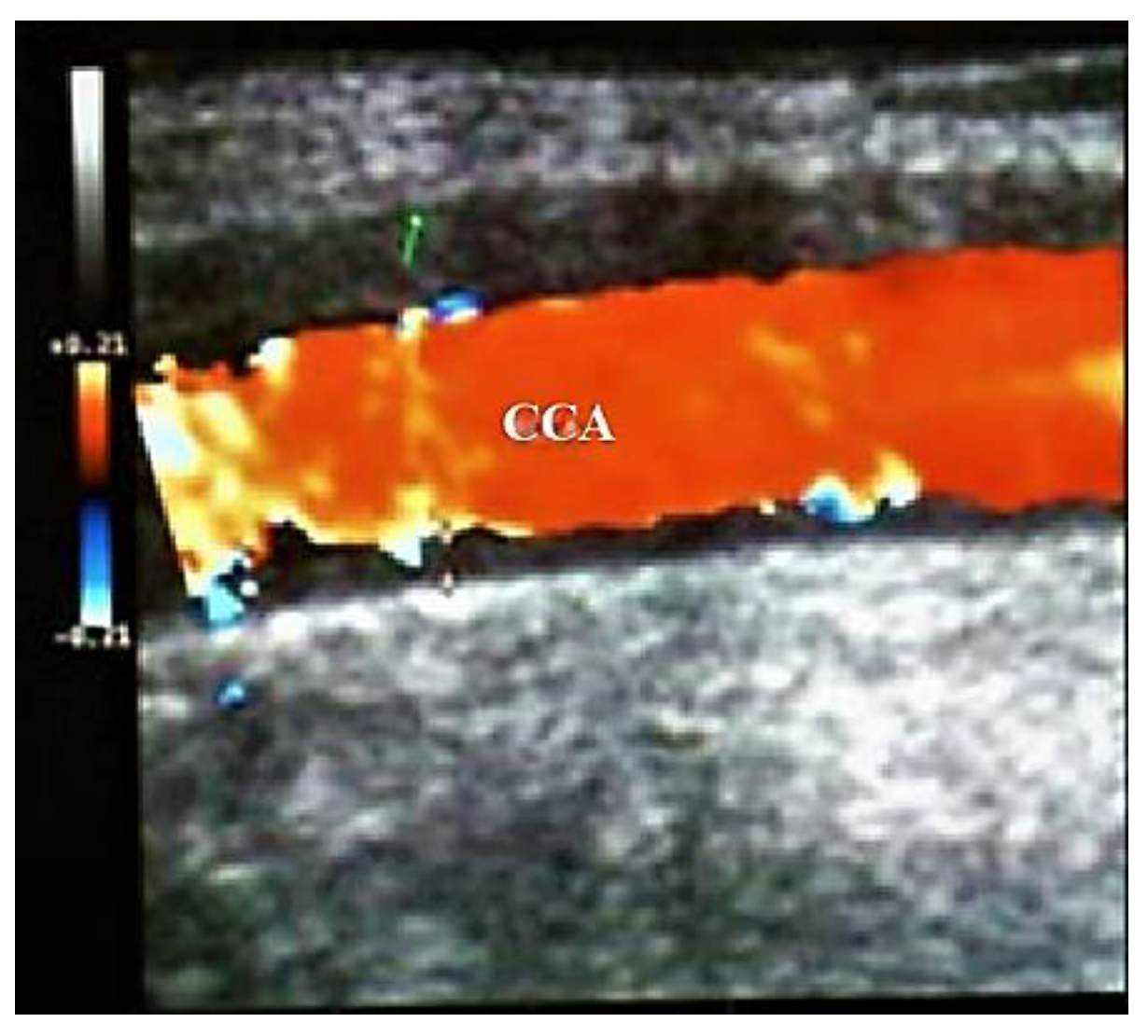 Biomedicines 09 01801 g005