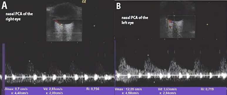 Biomedicines 09 01801 g007