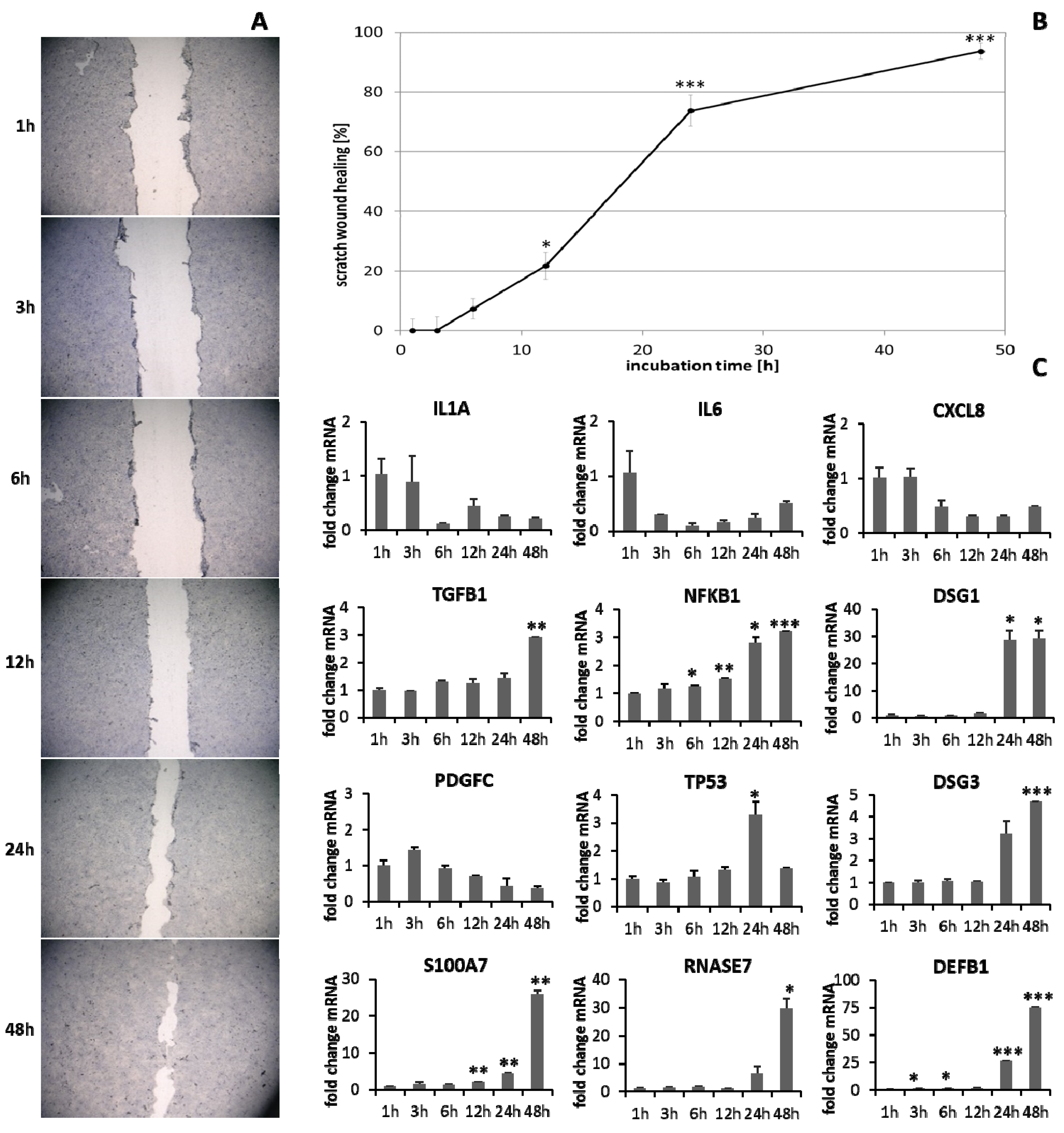 Biomedicines 09 01802 g001
