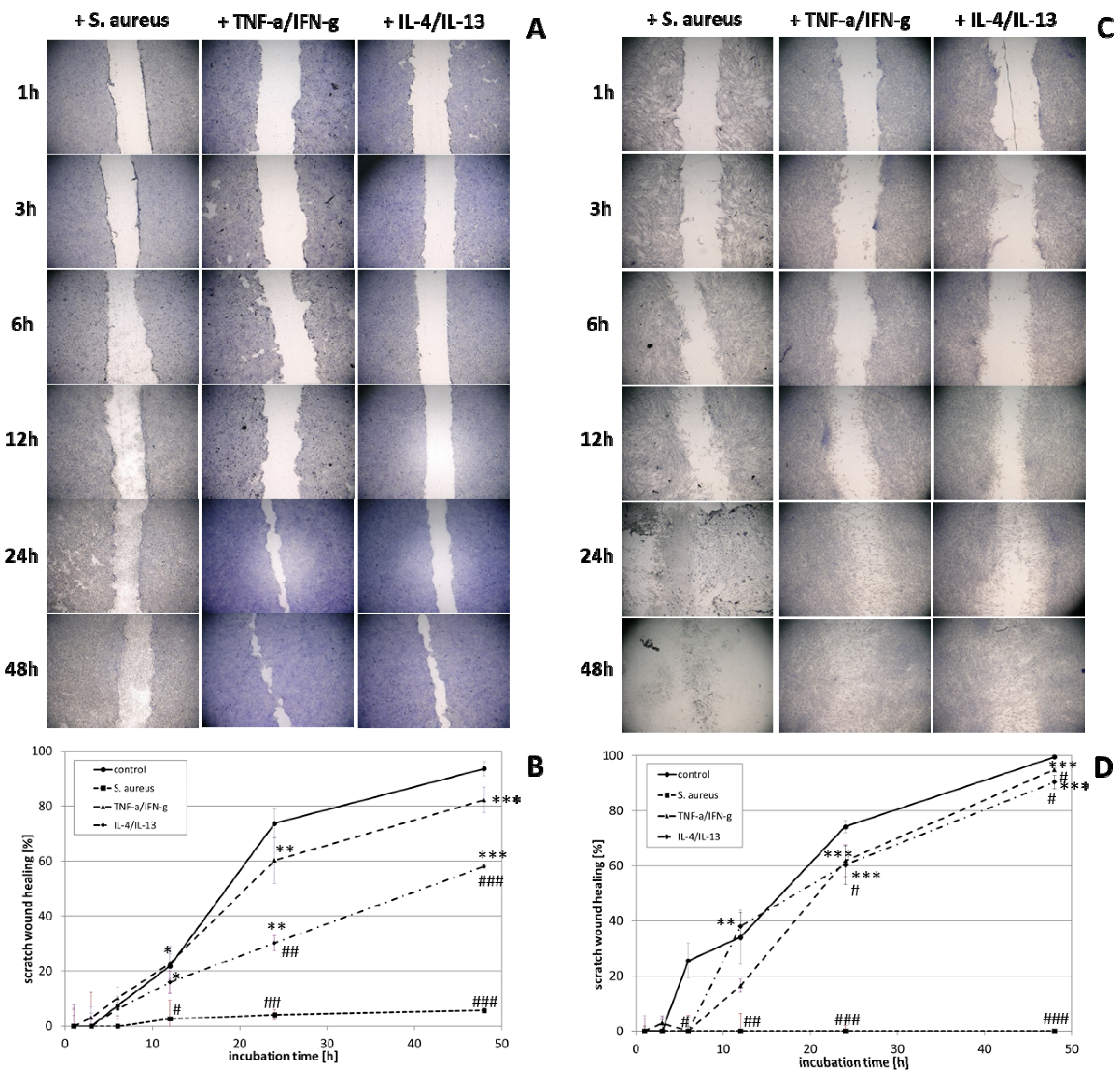 Biomedicines 09 01802 g006