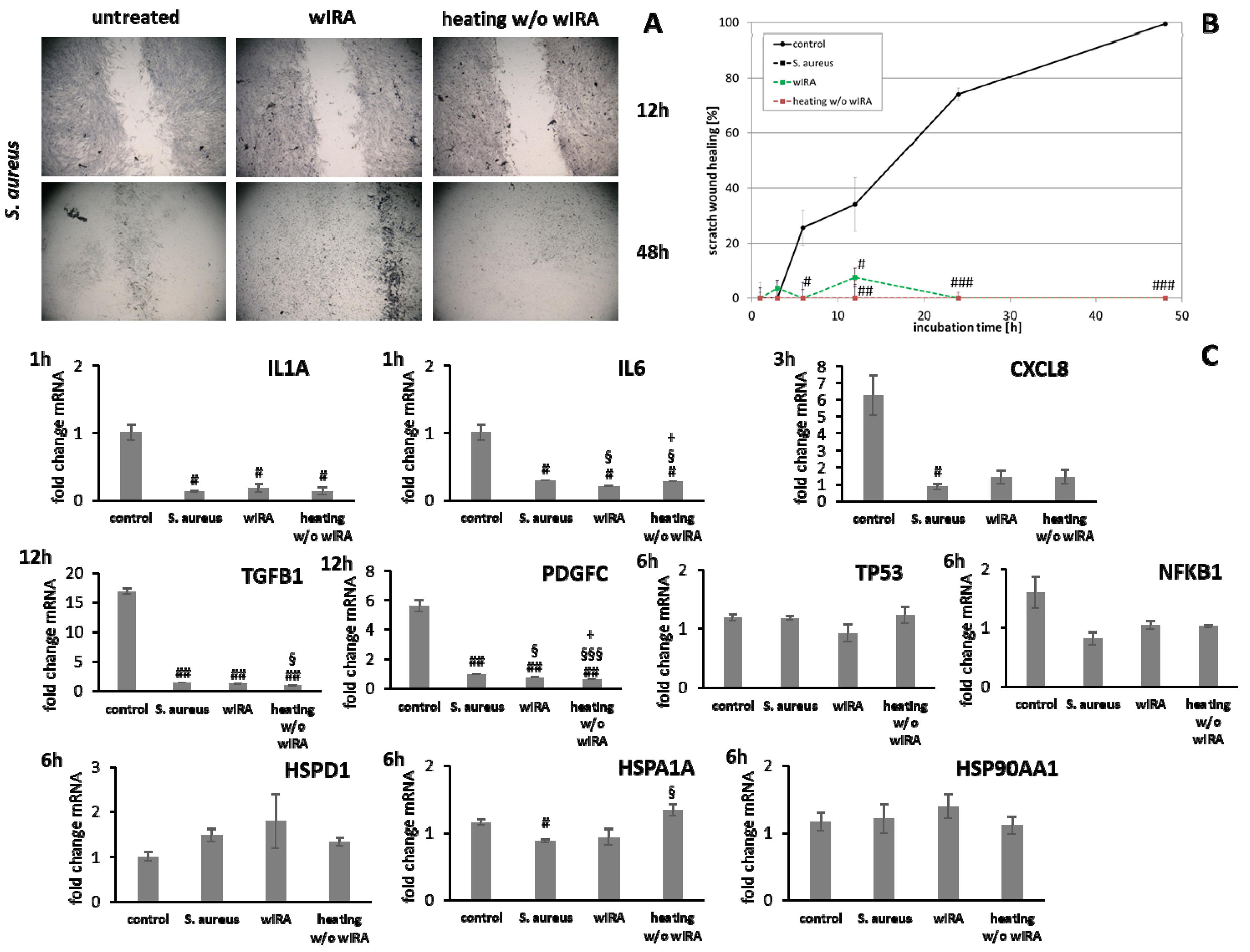 Biomedicines 09 01802 g010