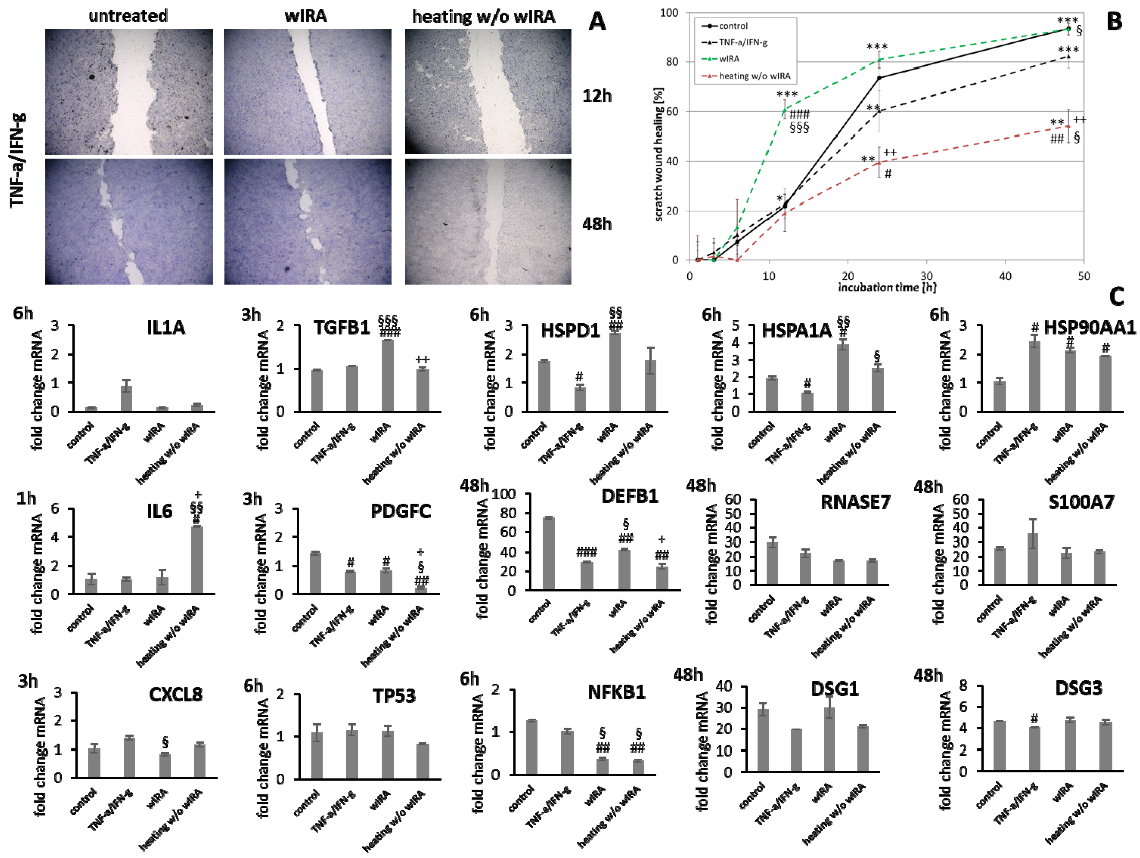 Biomedicines 09 01802 g011