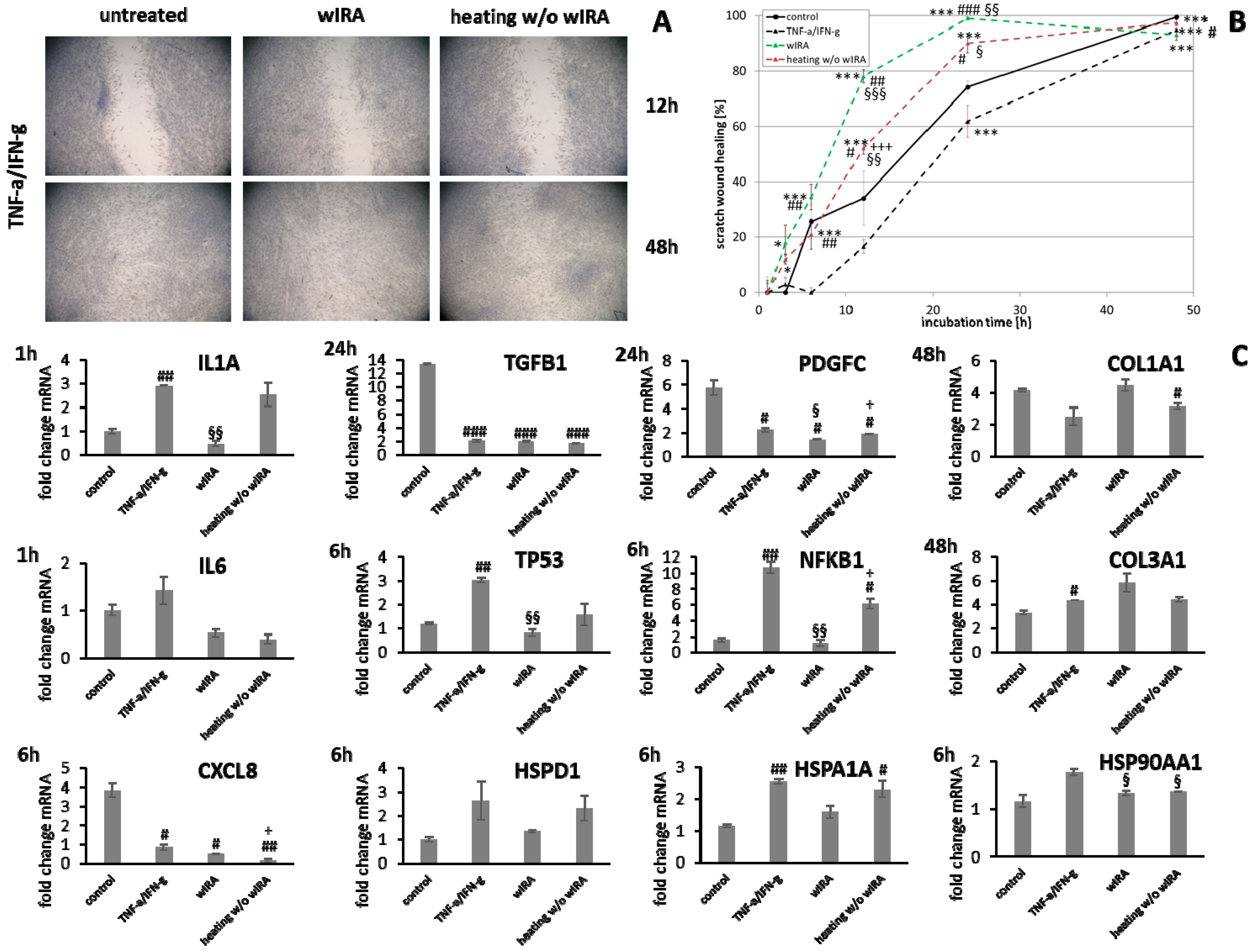 Biomedicines 09 01802 g012