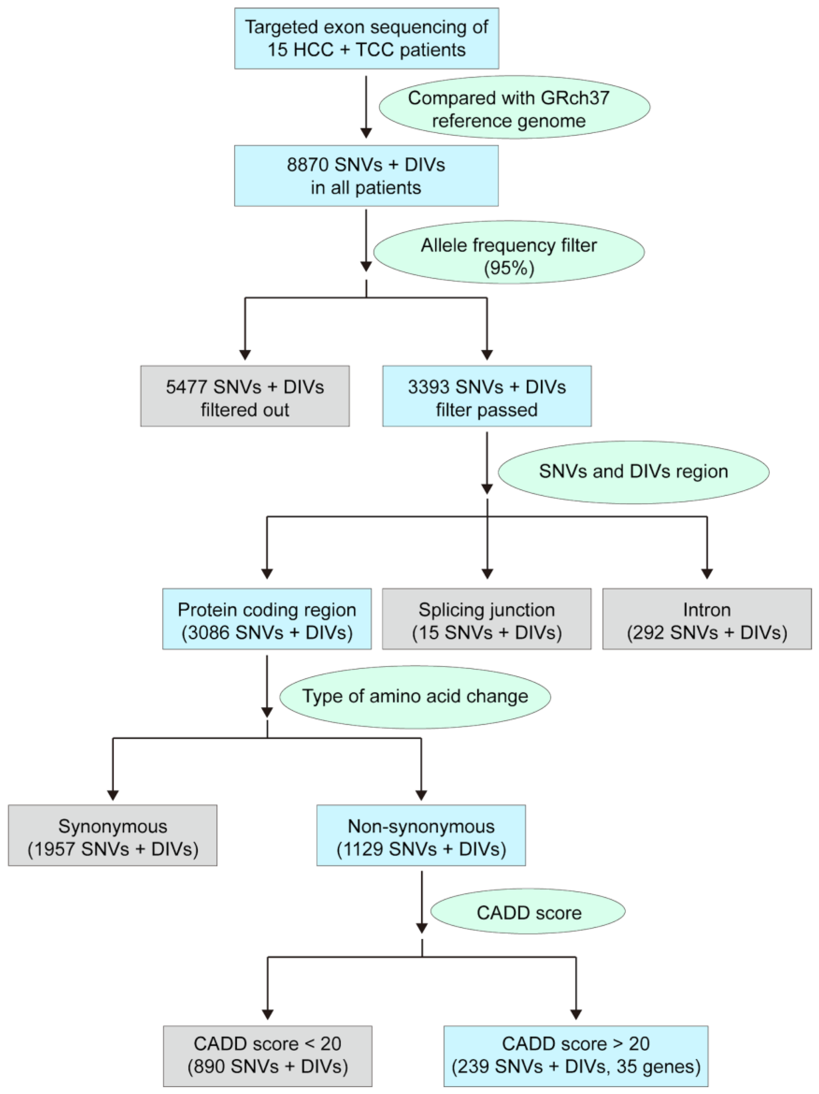 Biomedicines 09 01819 g001 Biomedicines 09 01819 g001