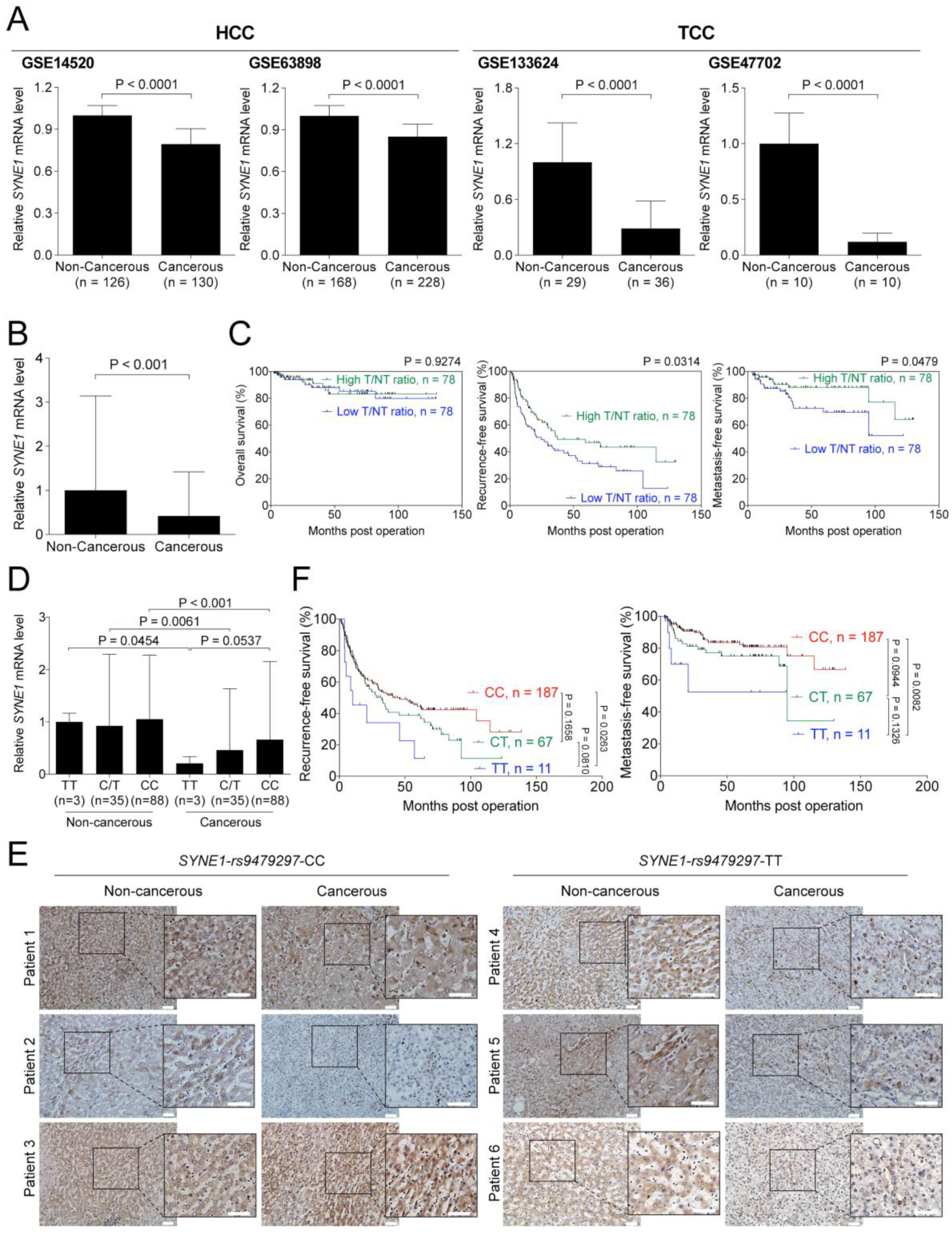Biomedicines 09 01819 g002 Biomedicines 09 01819 g002