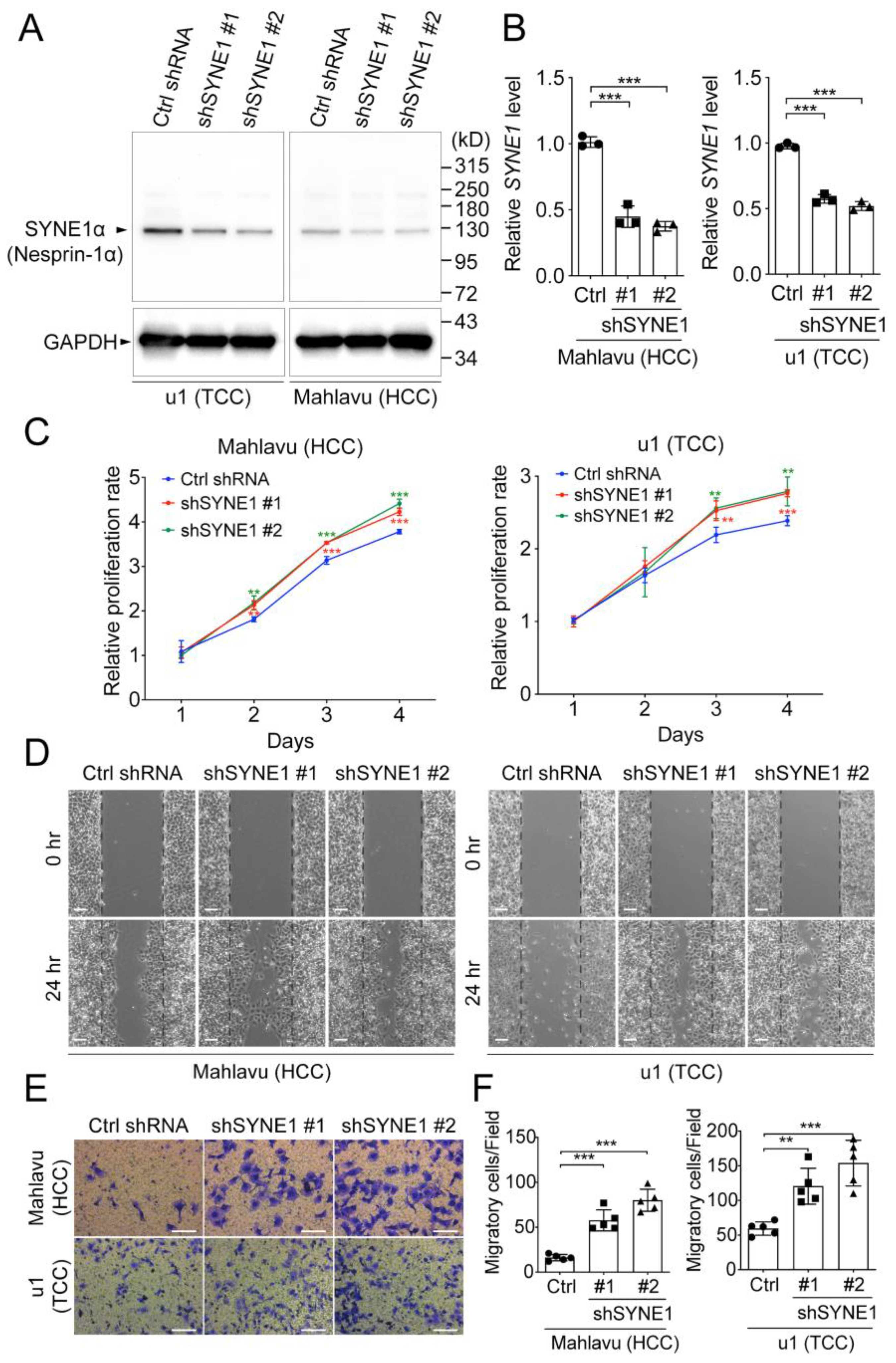 Biomedicines 09 01819 g003 Biomedicines 09 01819 g003