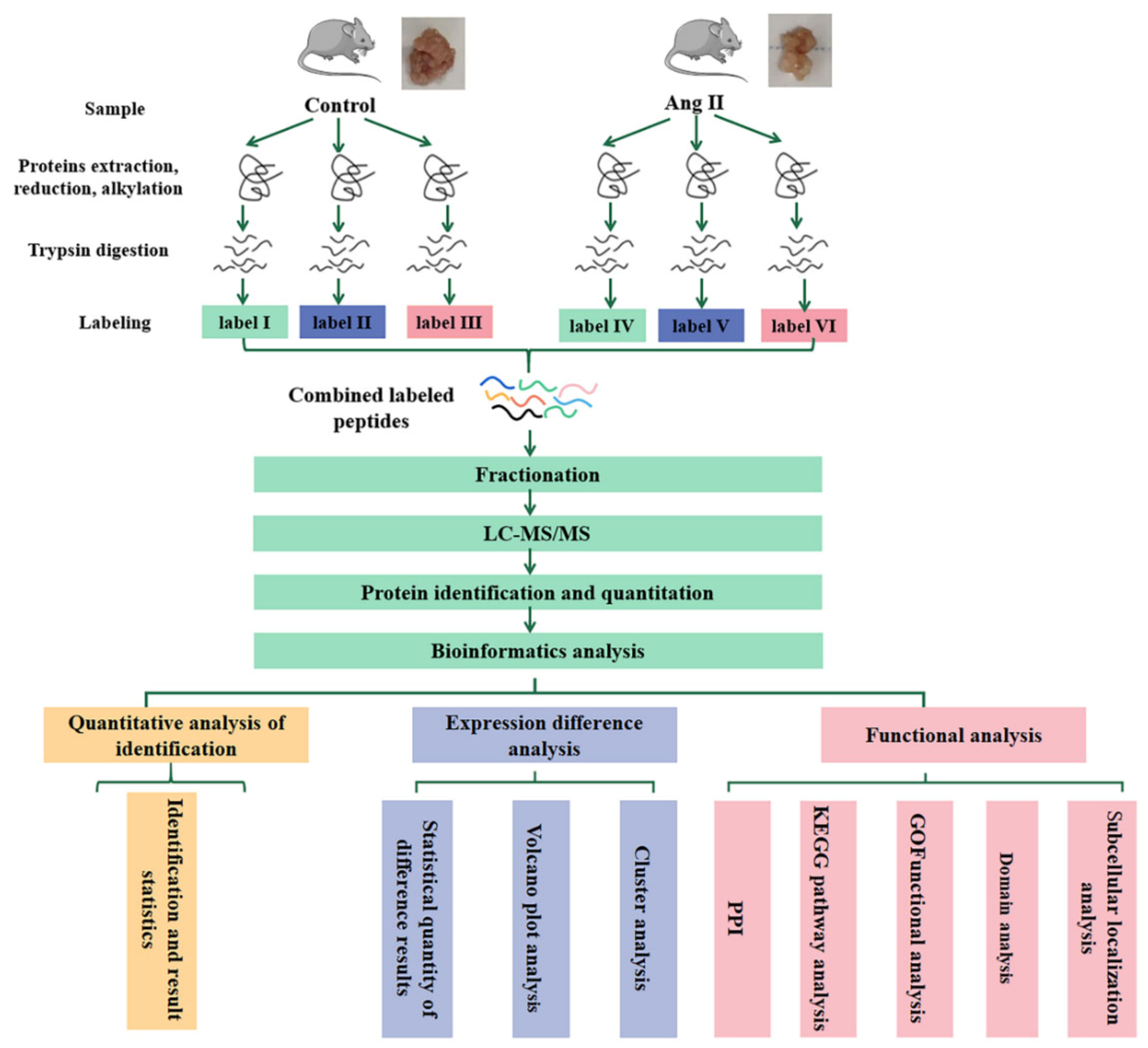 Biomedicines 09 01820 g001 Biomedicines 09 01820 g001