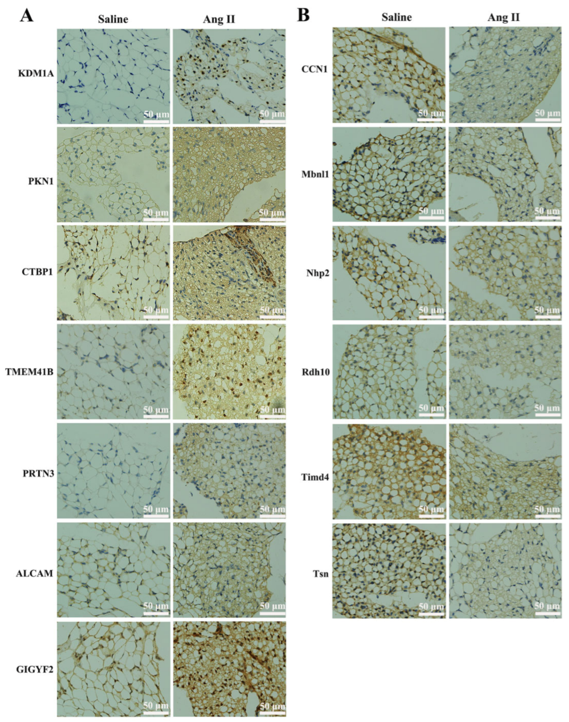 Biomedicines 09 01820 g004 Biomedicines 09 01820 g004