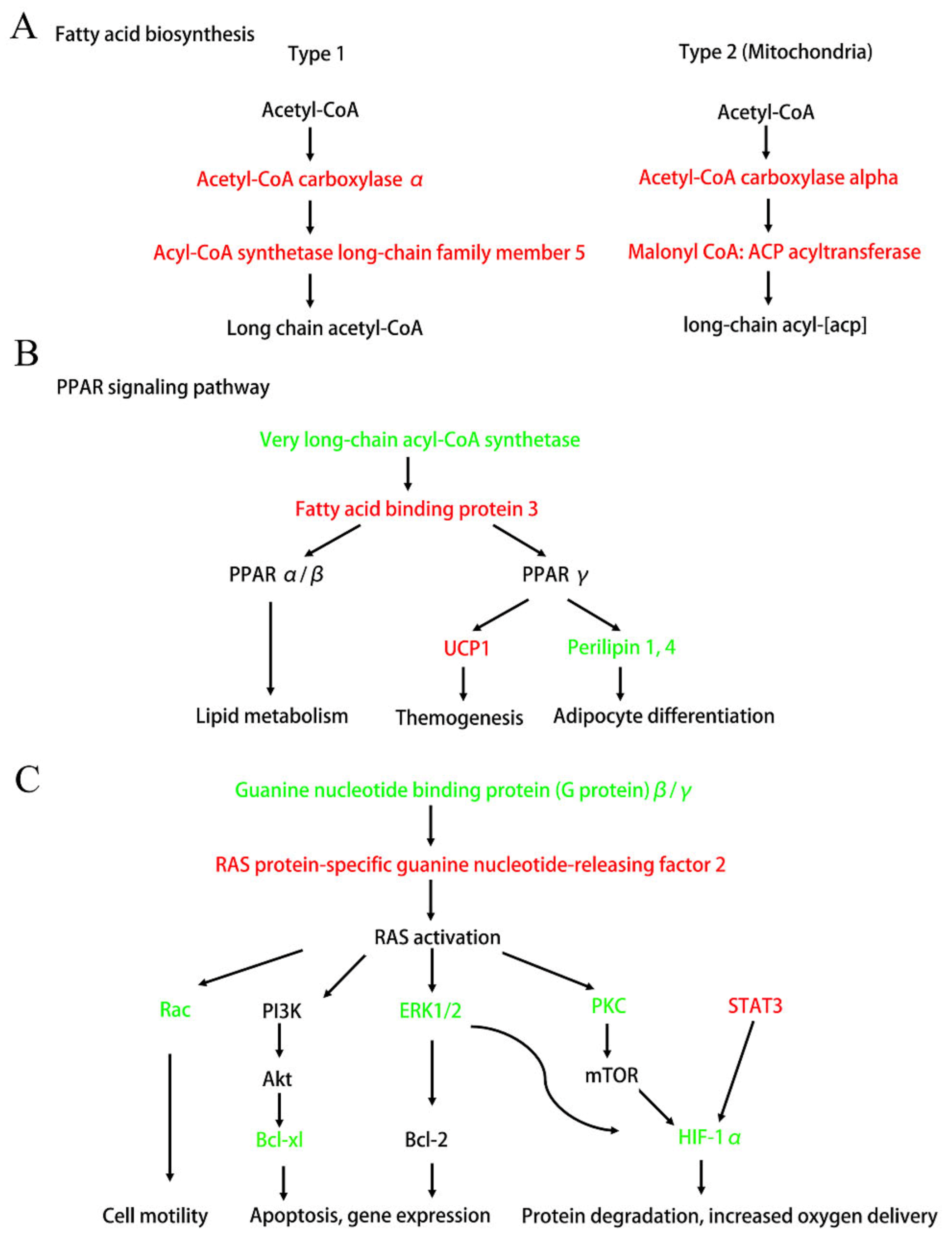 Biomedicines 09 01820 g006 Biomedicines 09 01820 g006