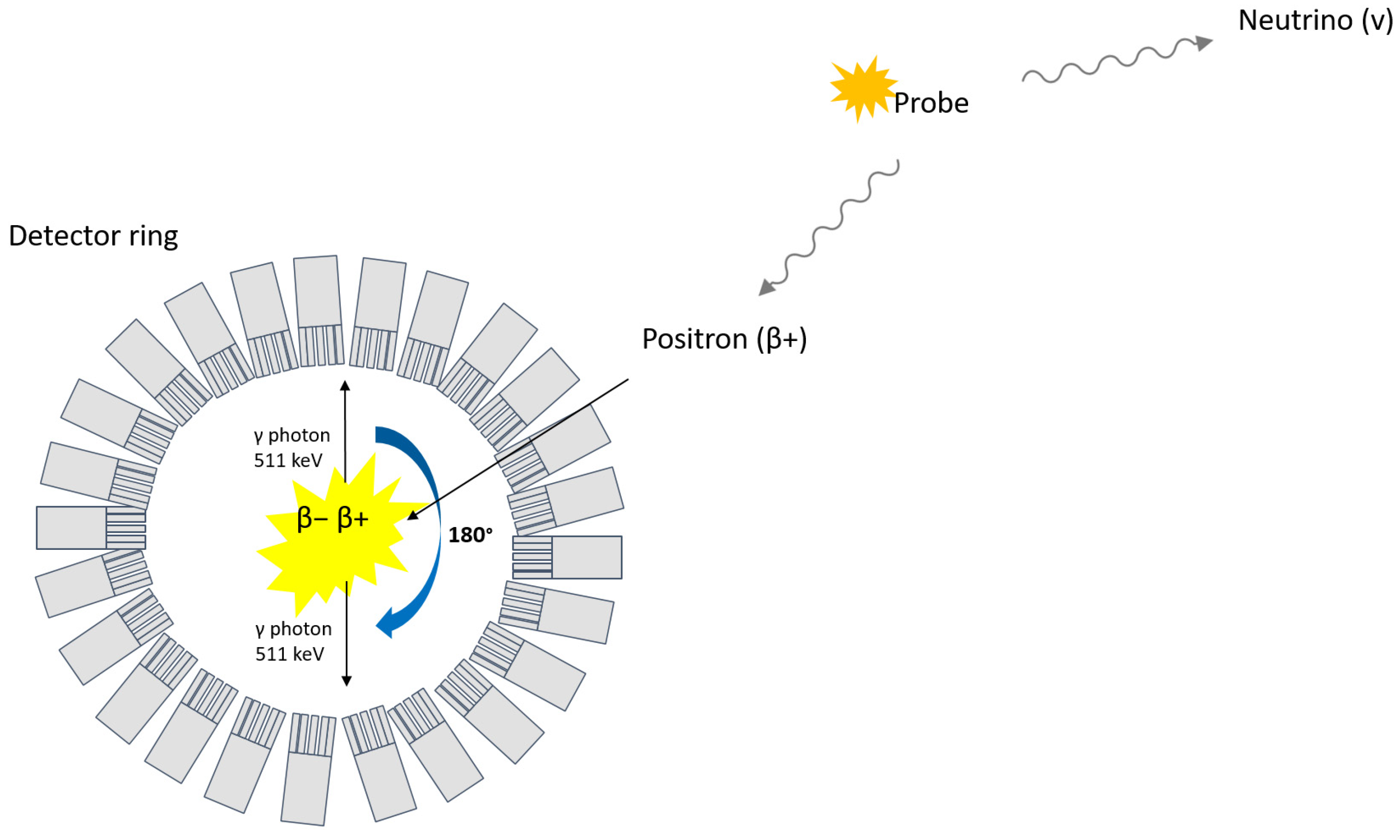 Biomedicines 09 01824 g001 Biomedicines 09 01824 g001