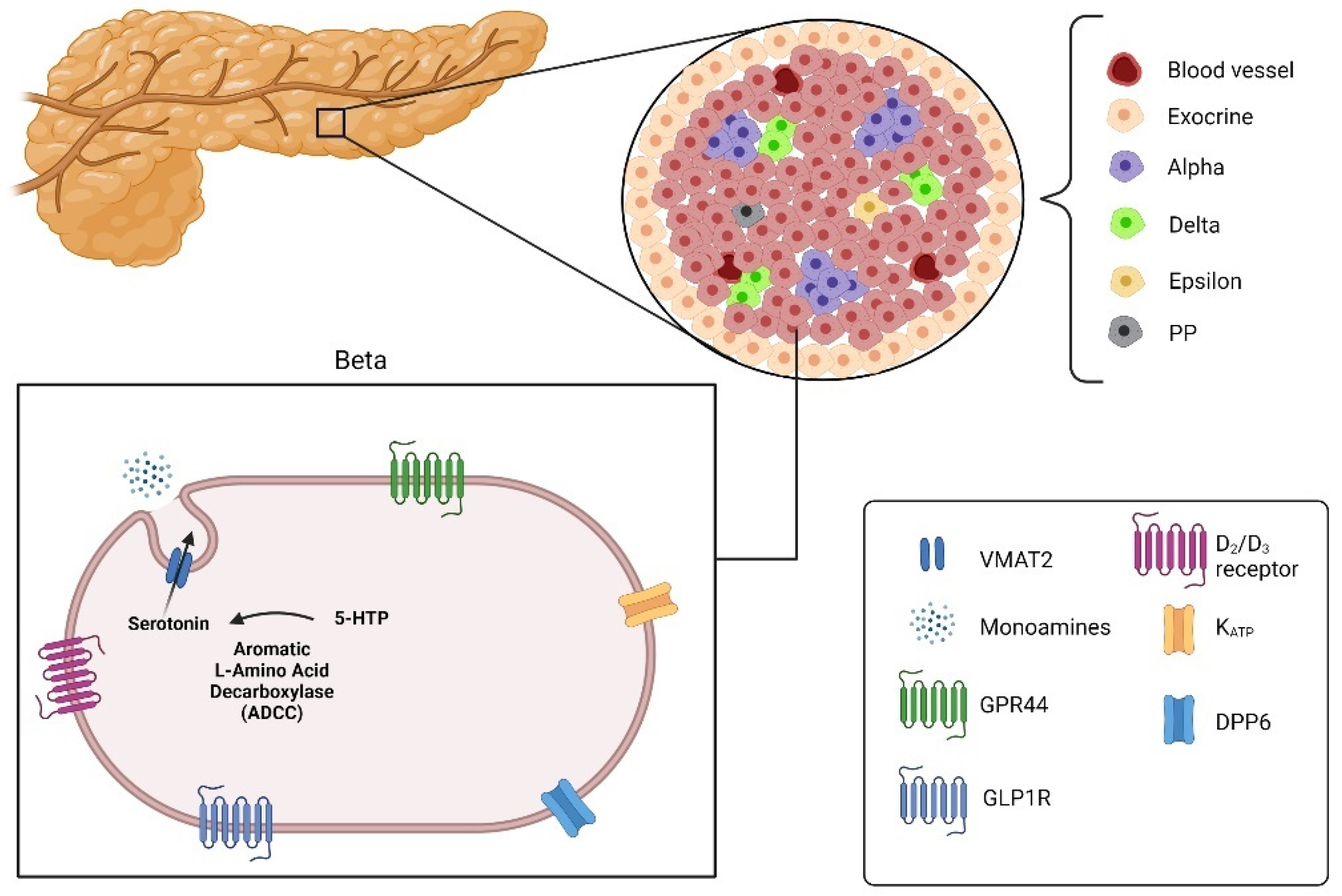 Biomedicines 09 01824 g003 Biomedicines 09 01824 g003