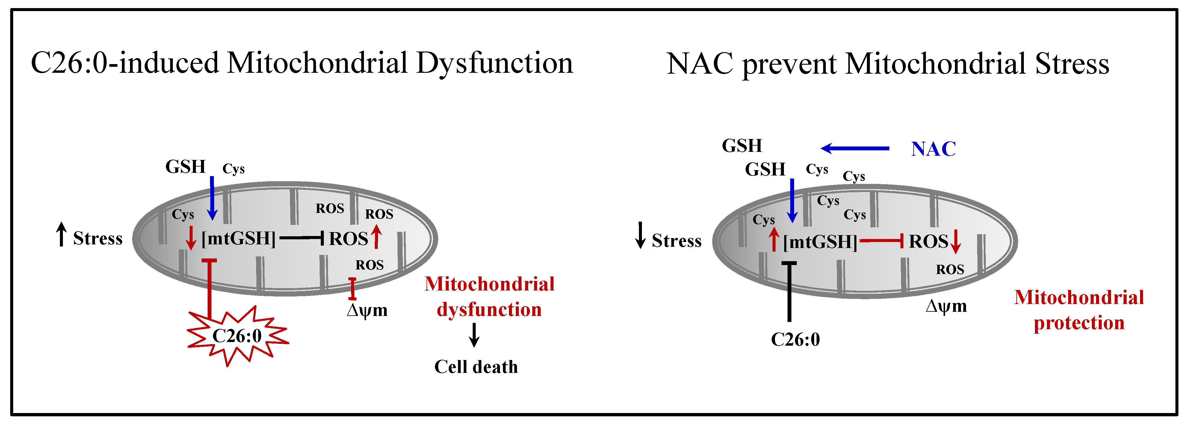 Biomedicines 09 01826 g007