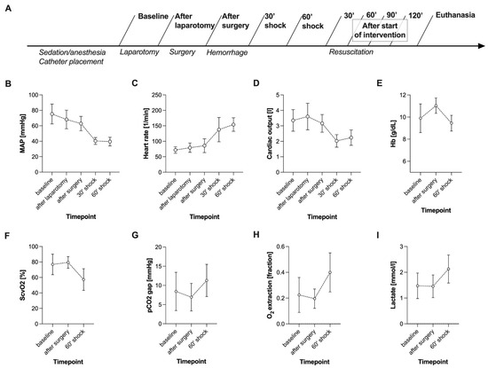 Biomedicines 09 01829 g001 550