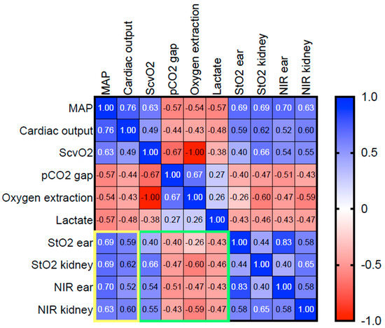 Biomedicines 09 01829 g003 550
