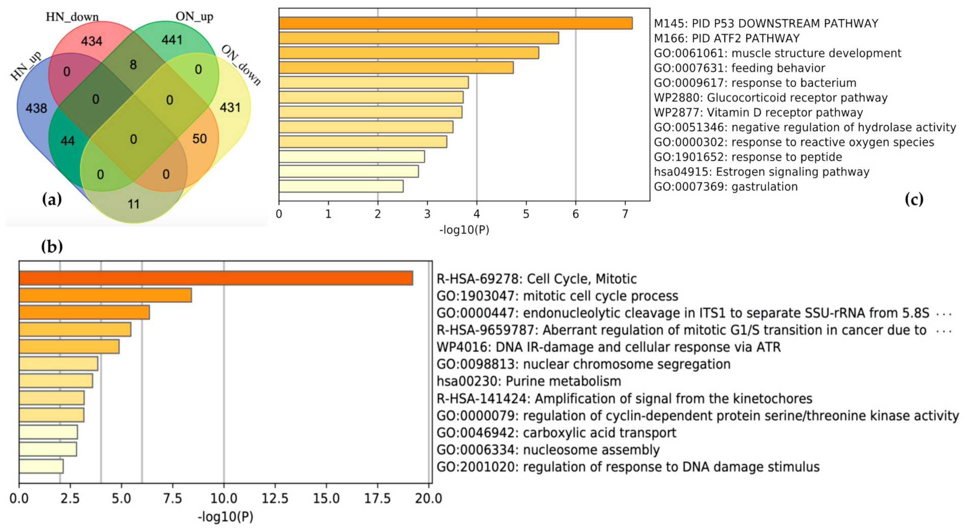 Biomedicines 09 01830 g004