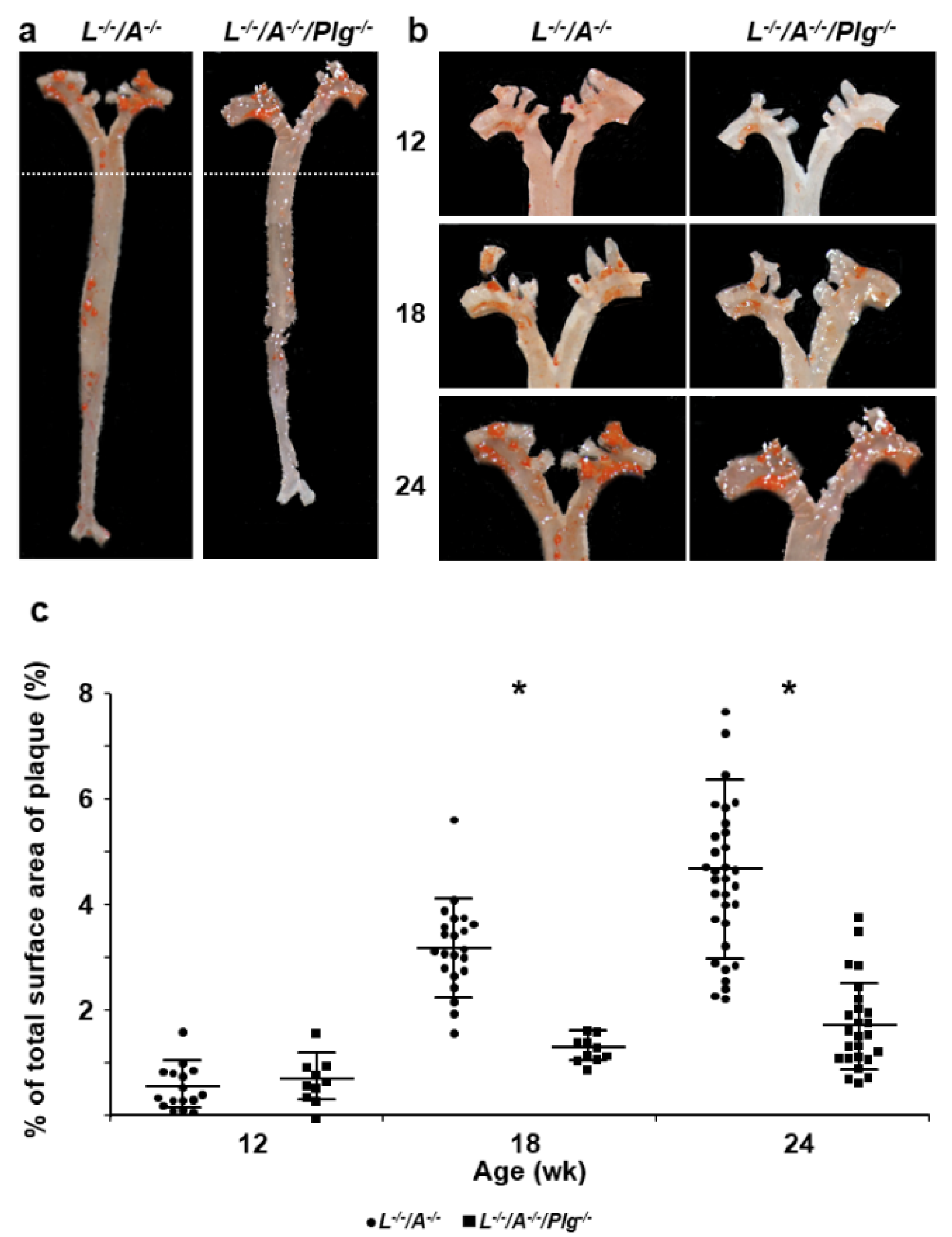 Biomedicines 09 01832 g001