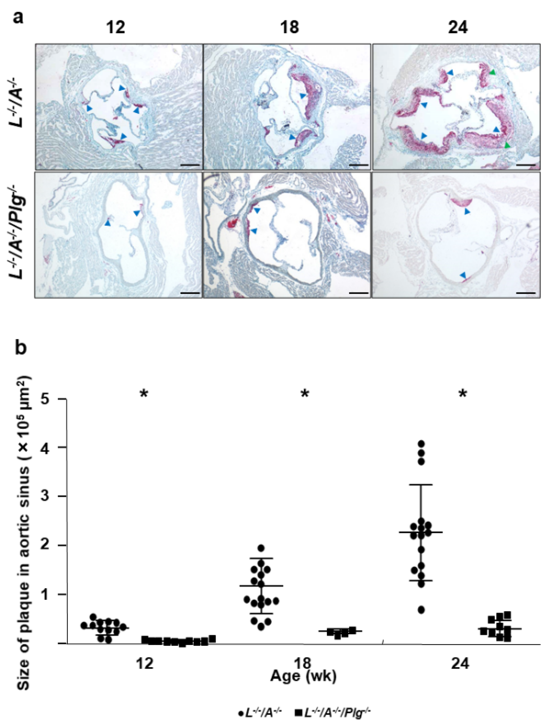 Biomedicines 09 01832 g002