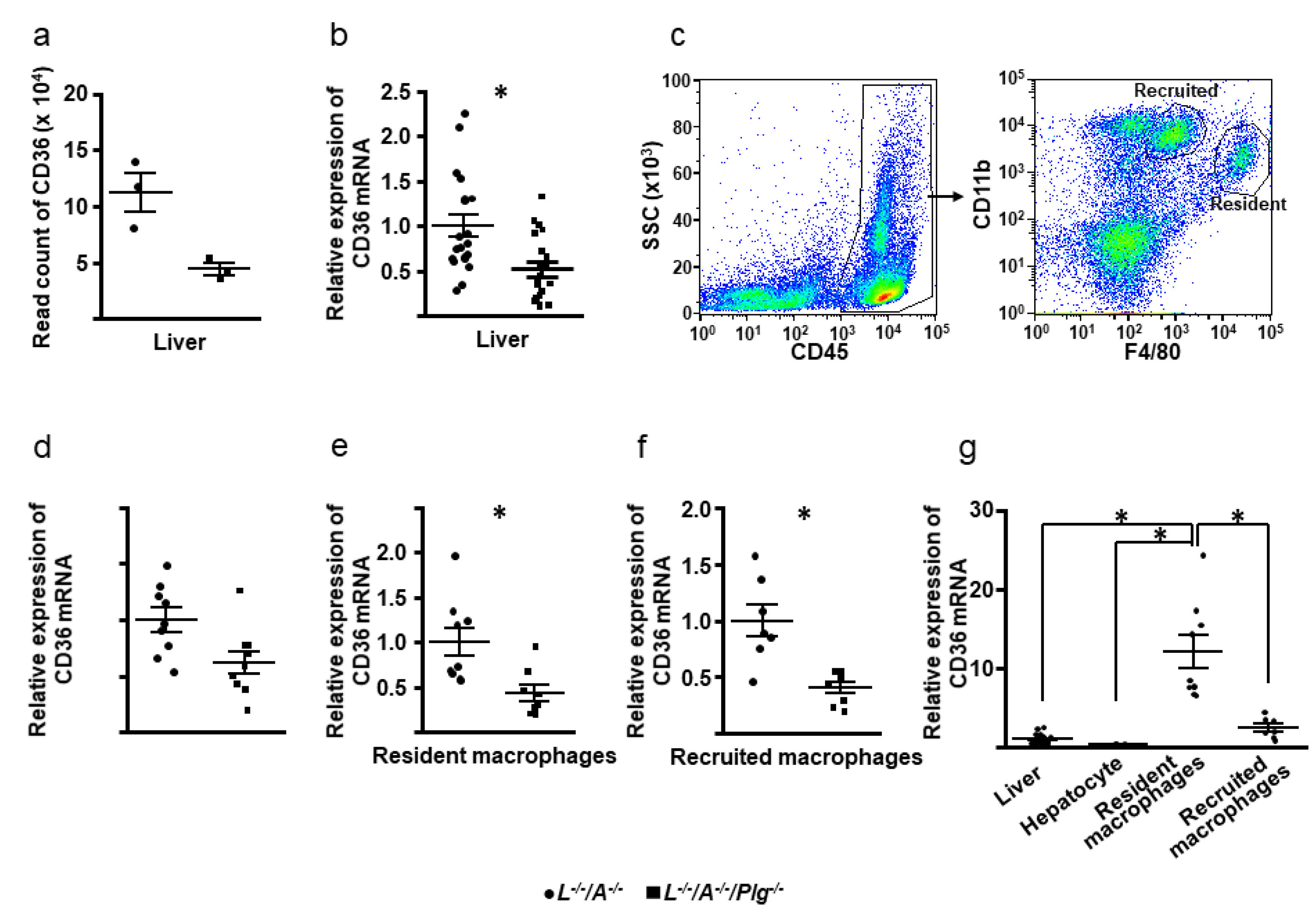 Biomedicines 09 01832 g006