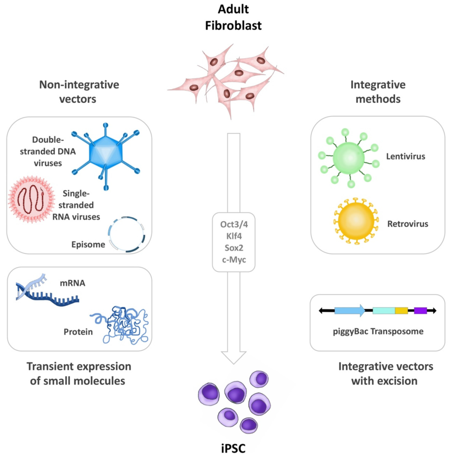 Biomedicines 09 01836 g001 Biomedicines 09 01836 g001